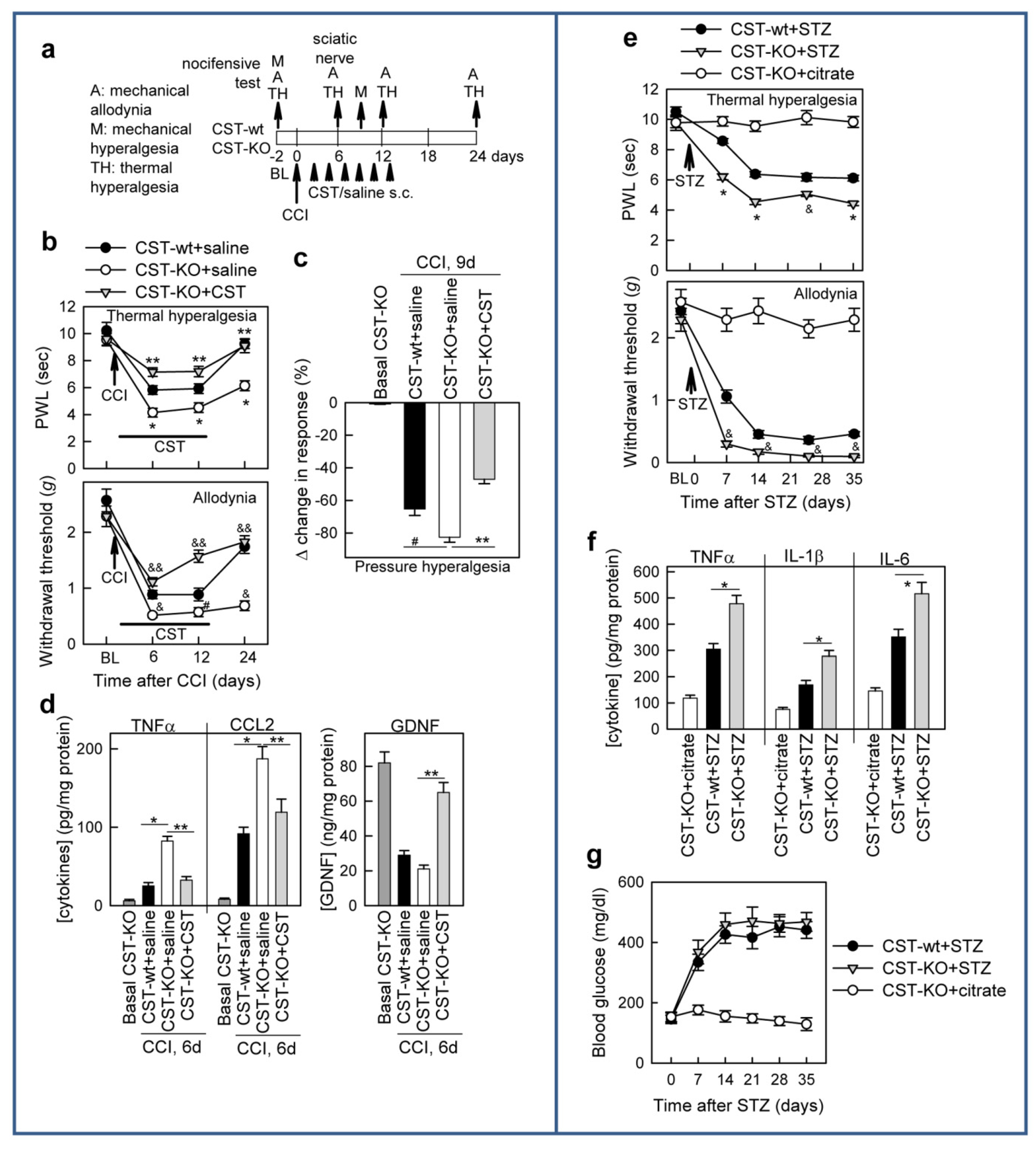 Pharmaceutics 13 00947 g007 550
