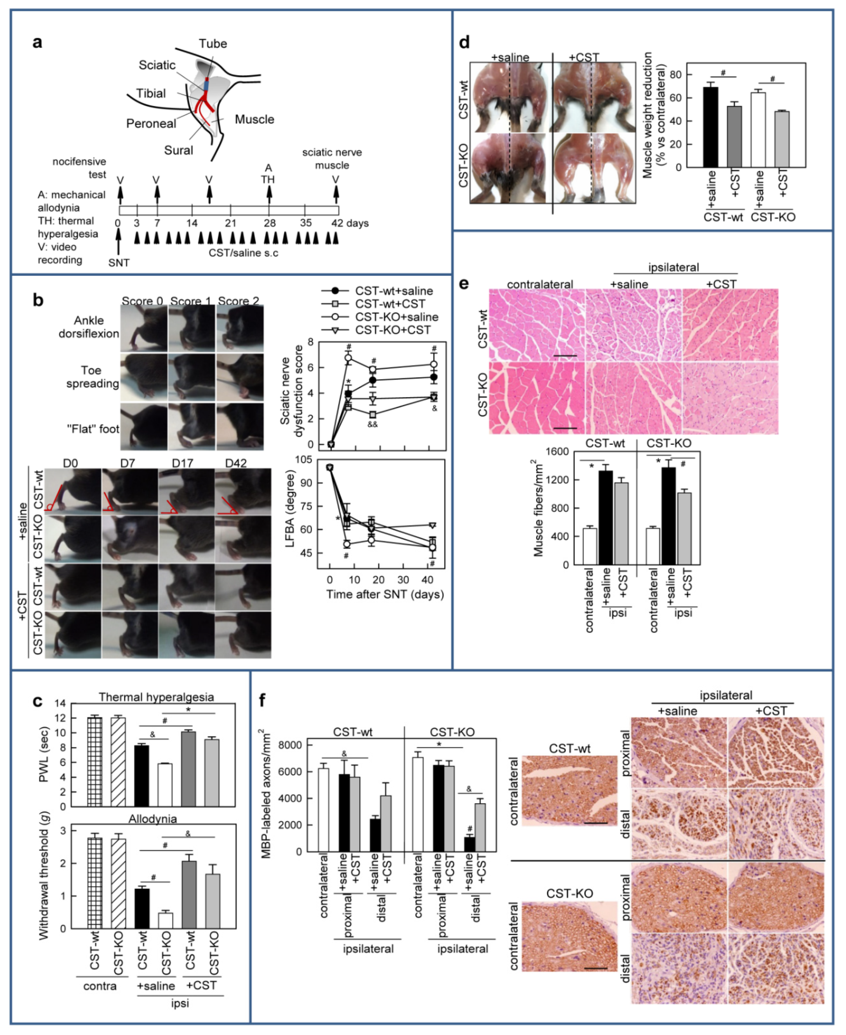 Pharmaceutics 13 00947 g008 550
