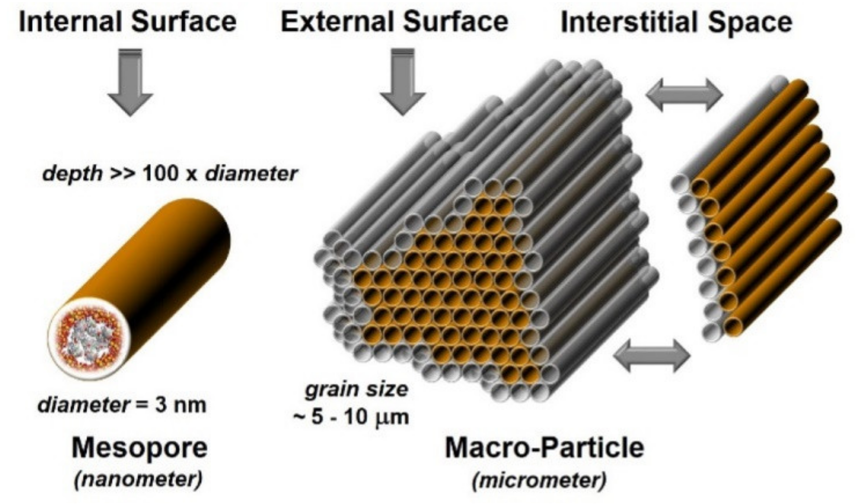 Pharmaceutics 13 00950 g004 550