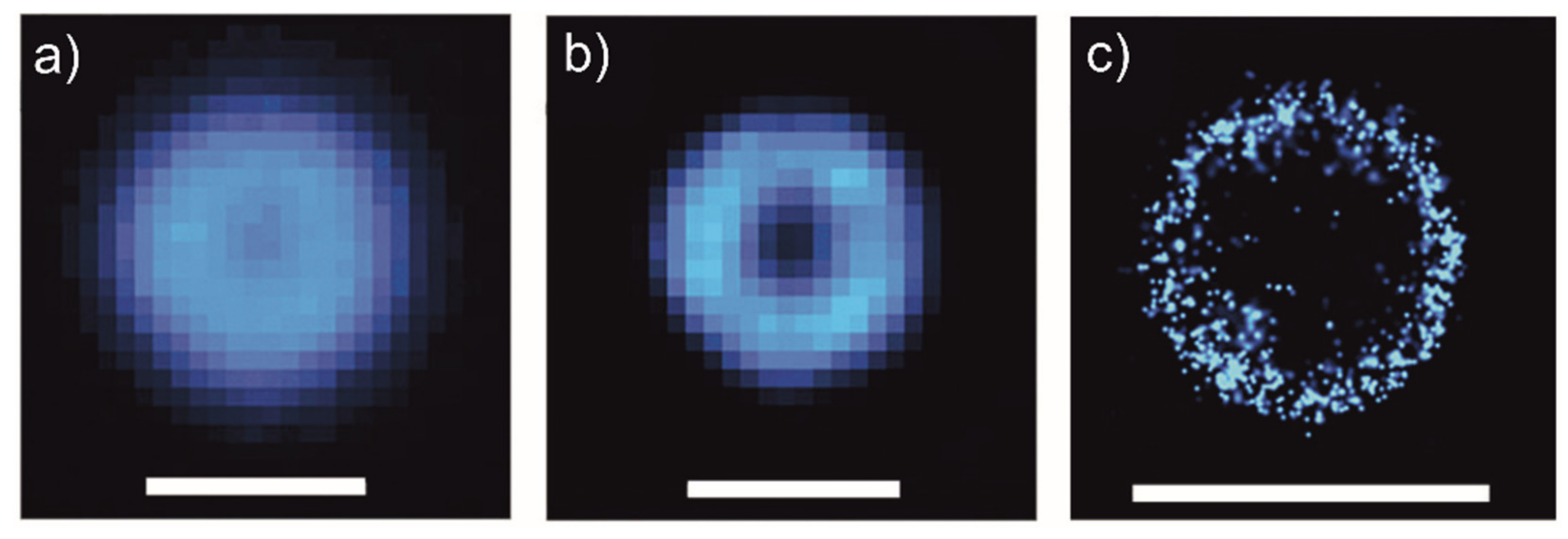 Pharmaceutics 13 00950 g010 550