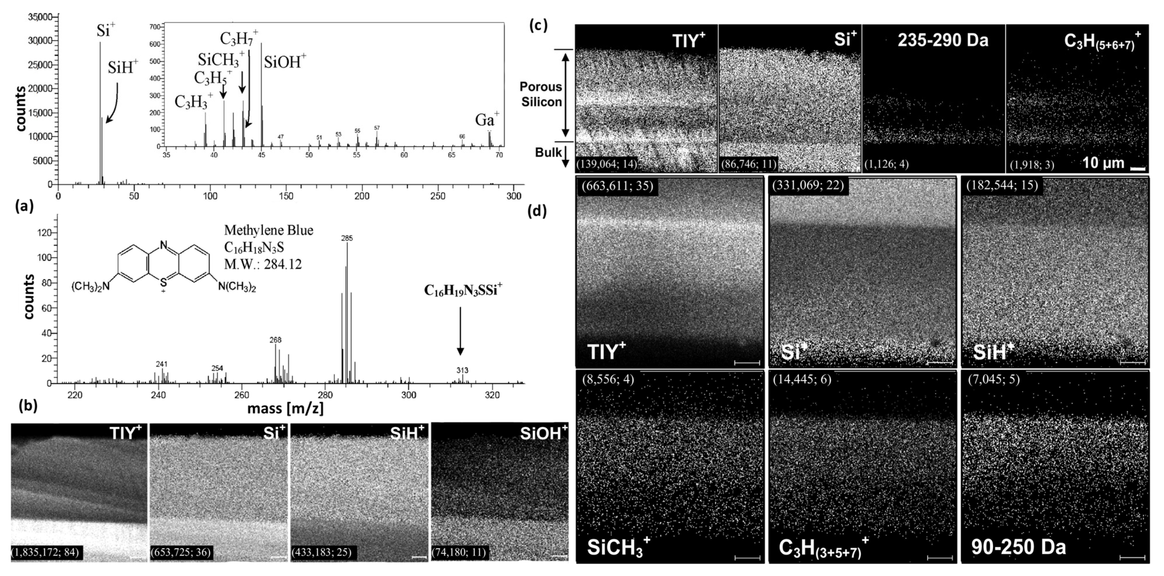 Pharmaceutics 13 00950 g017 550