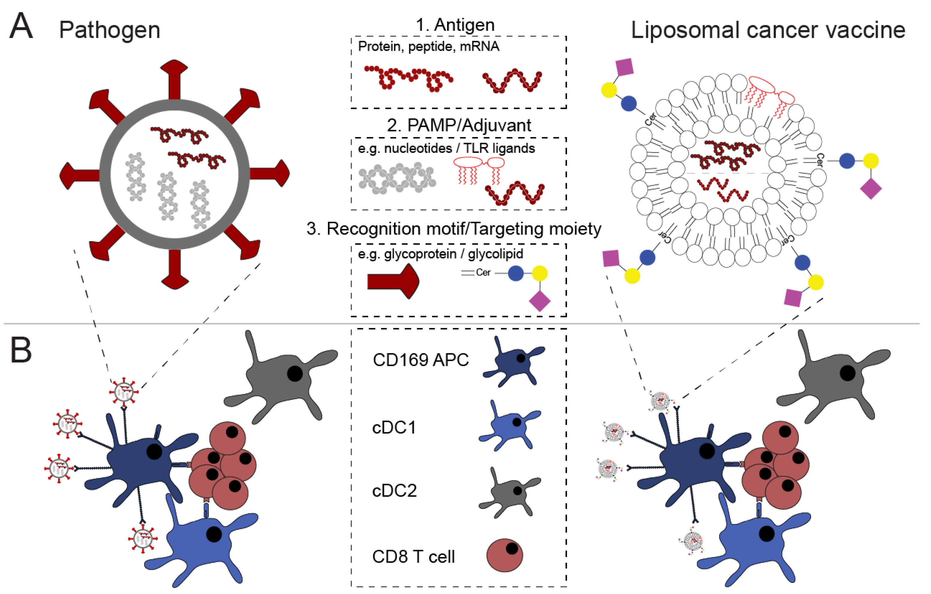 Pharmaceutics 13 00954 g001