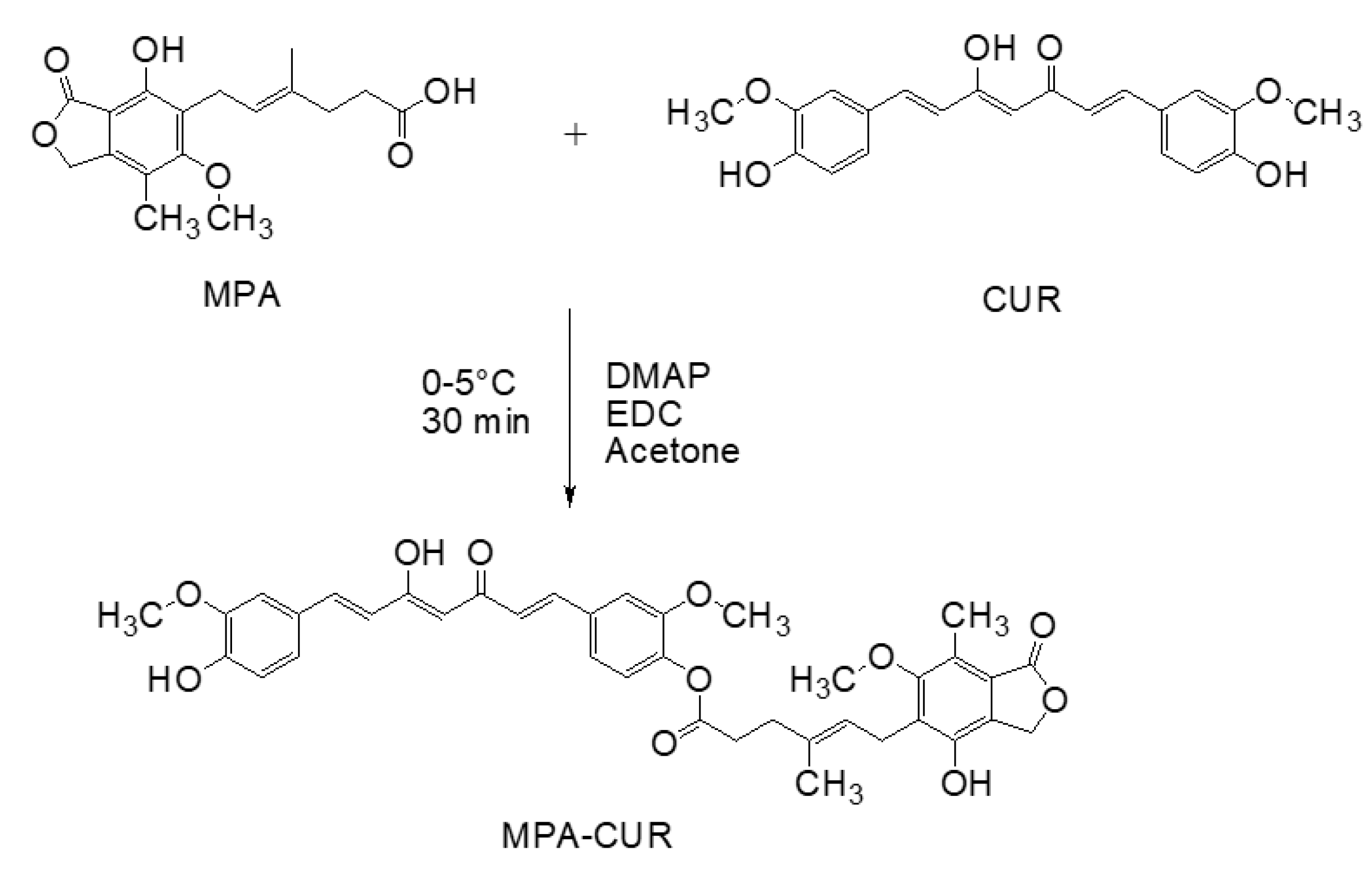 Pharmaceutics 13 00956 g002 Pharmaceutics 13 00956 g002