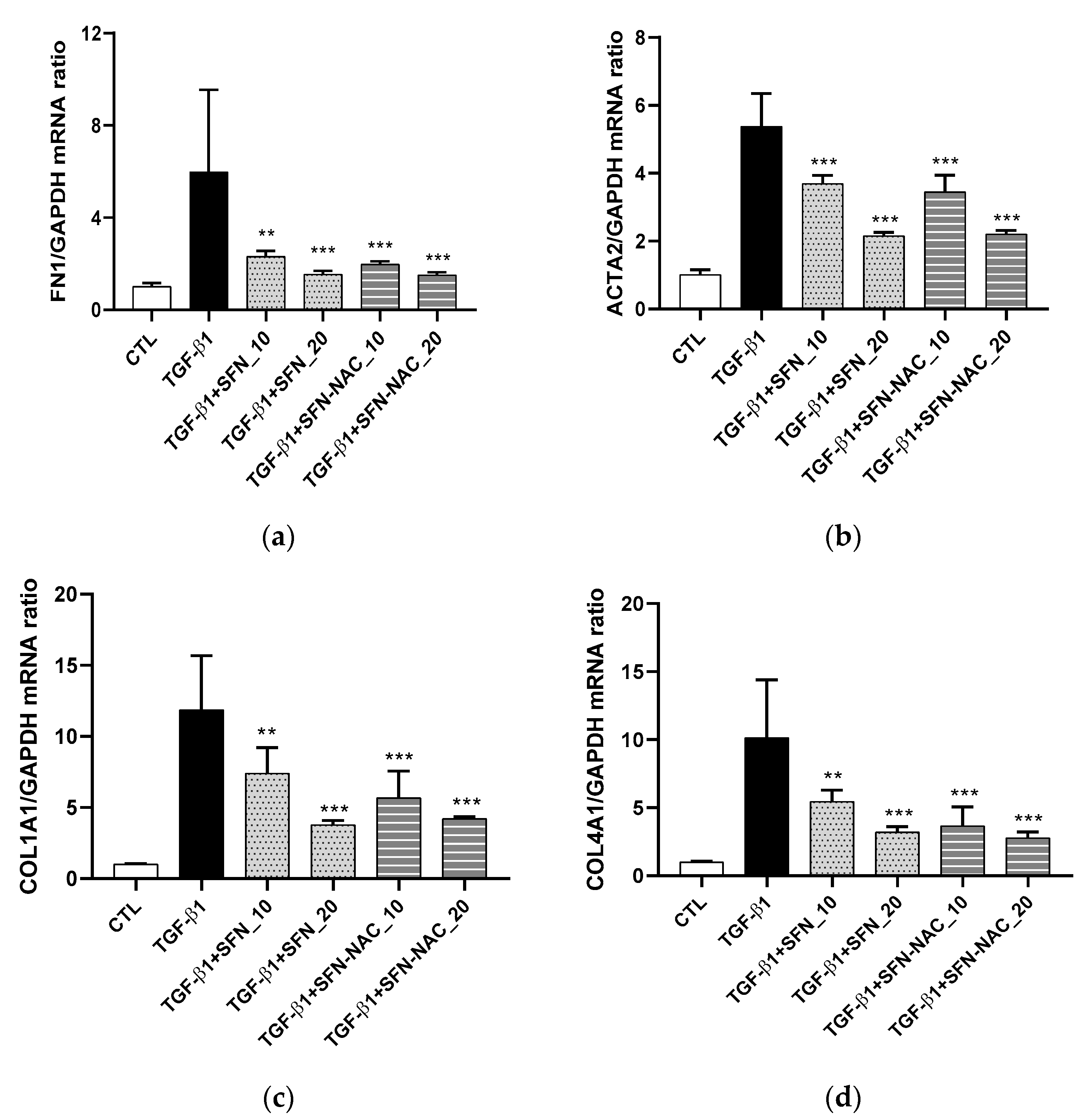 Pharmaceutics 13 00958 g003 Pharmaceutics 13 00958 g003