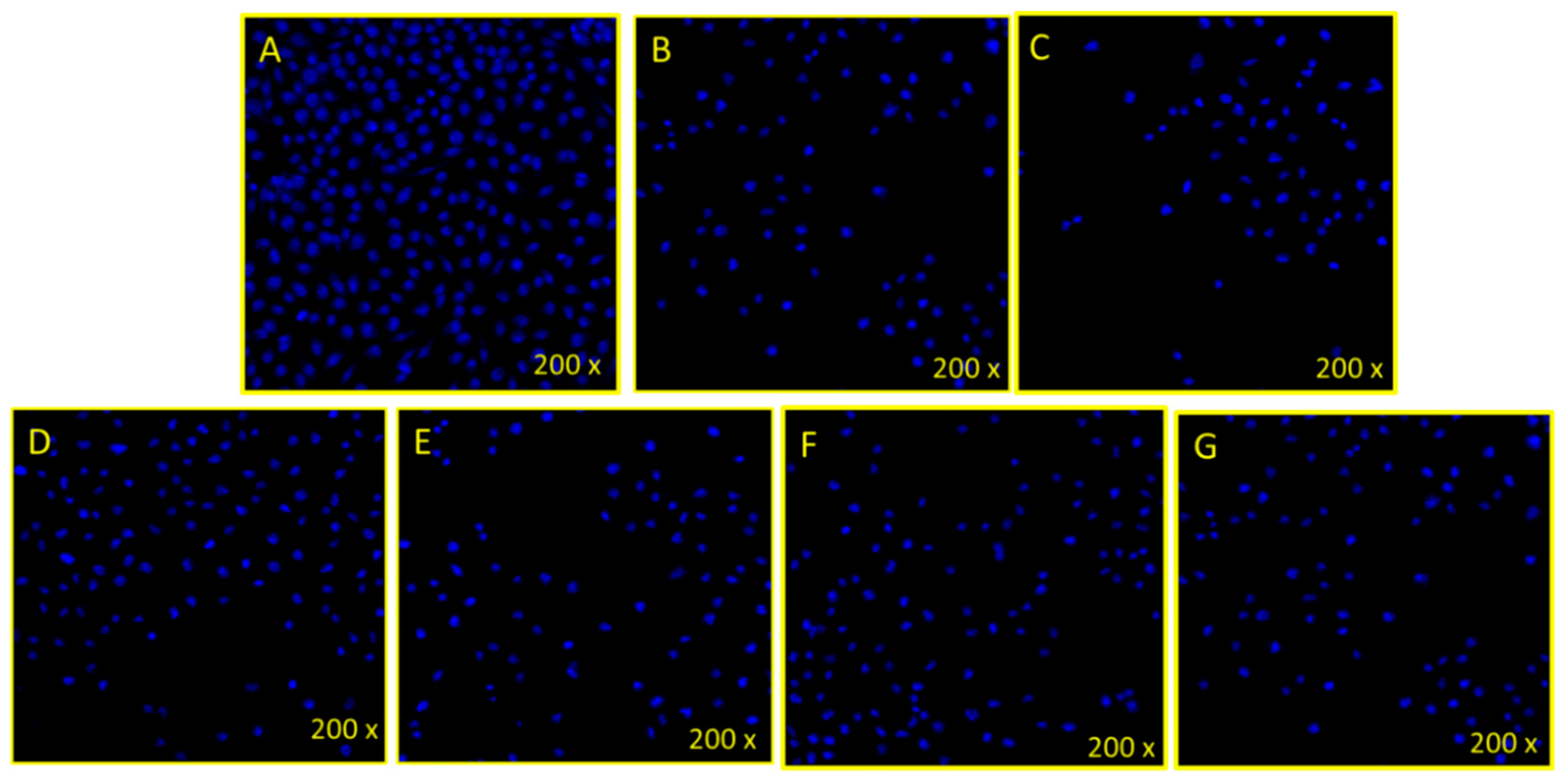 Pharmaceutics 13 00962 g005 550