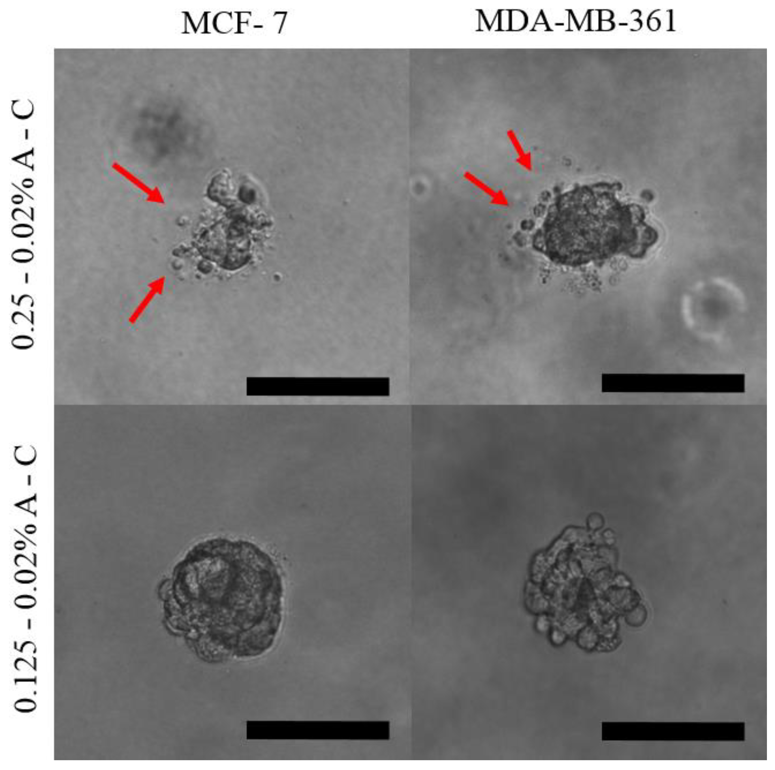 Pharmaceutics 13 00963 g005 550