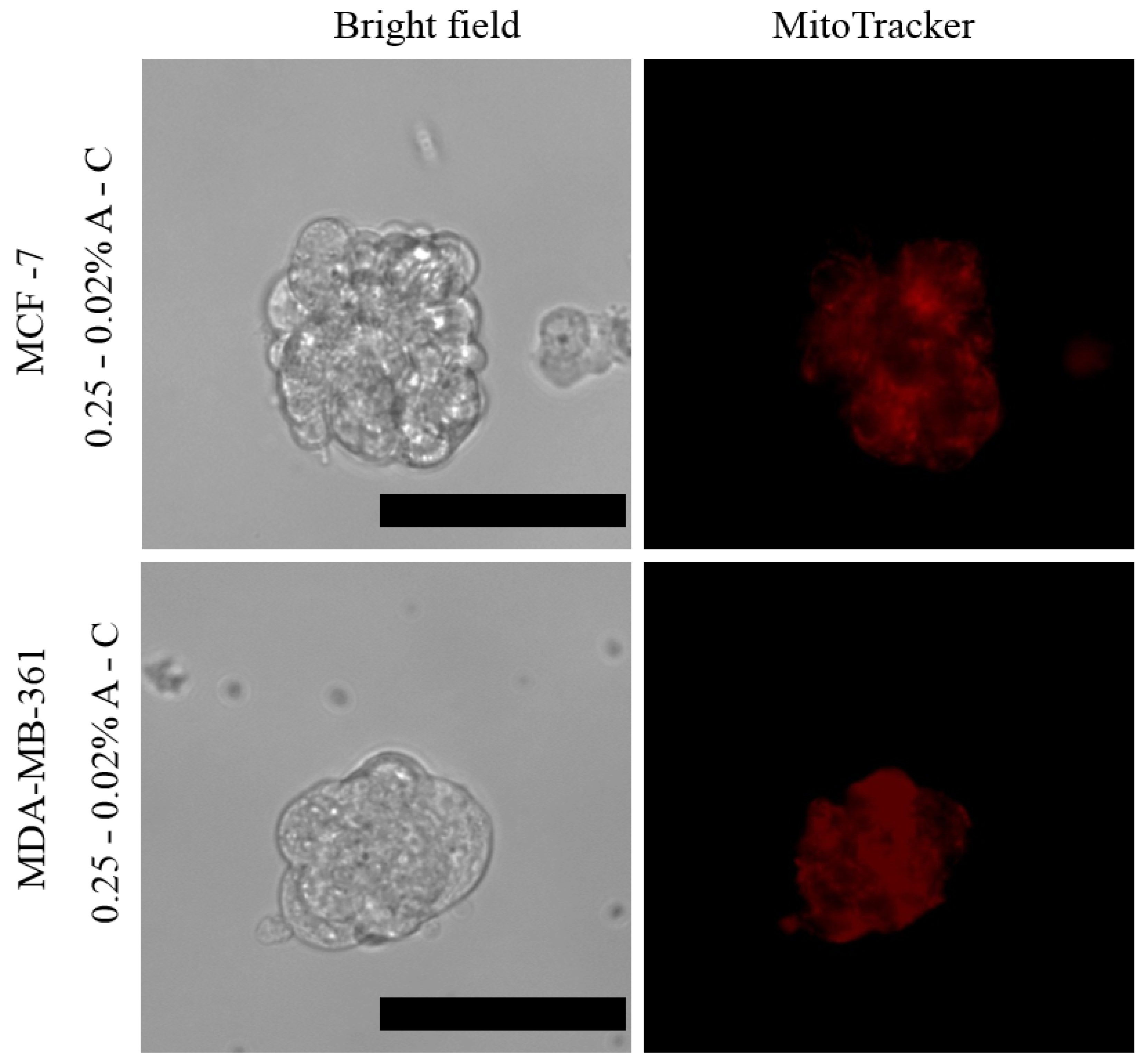 Pharmaceutics 13 00963 g006 550