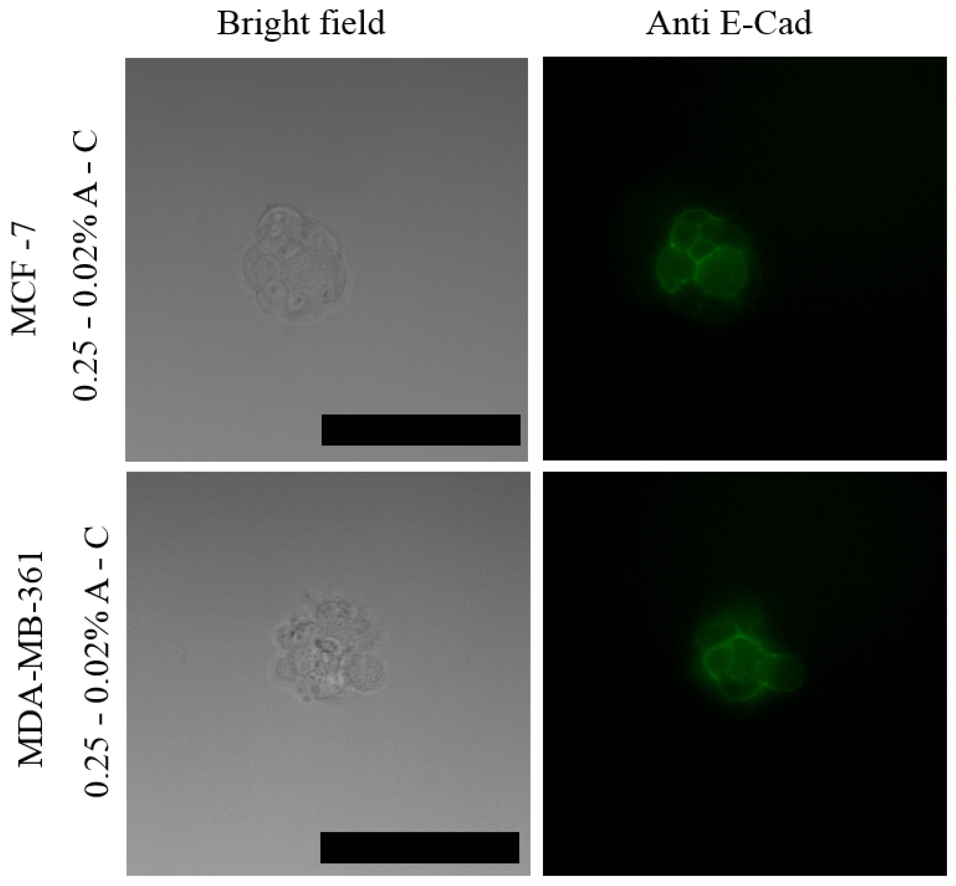 Pharmaceutics 13 00963 g007 550