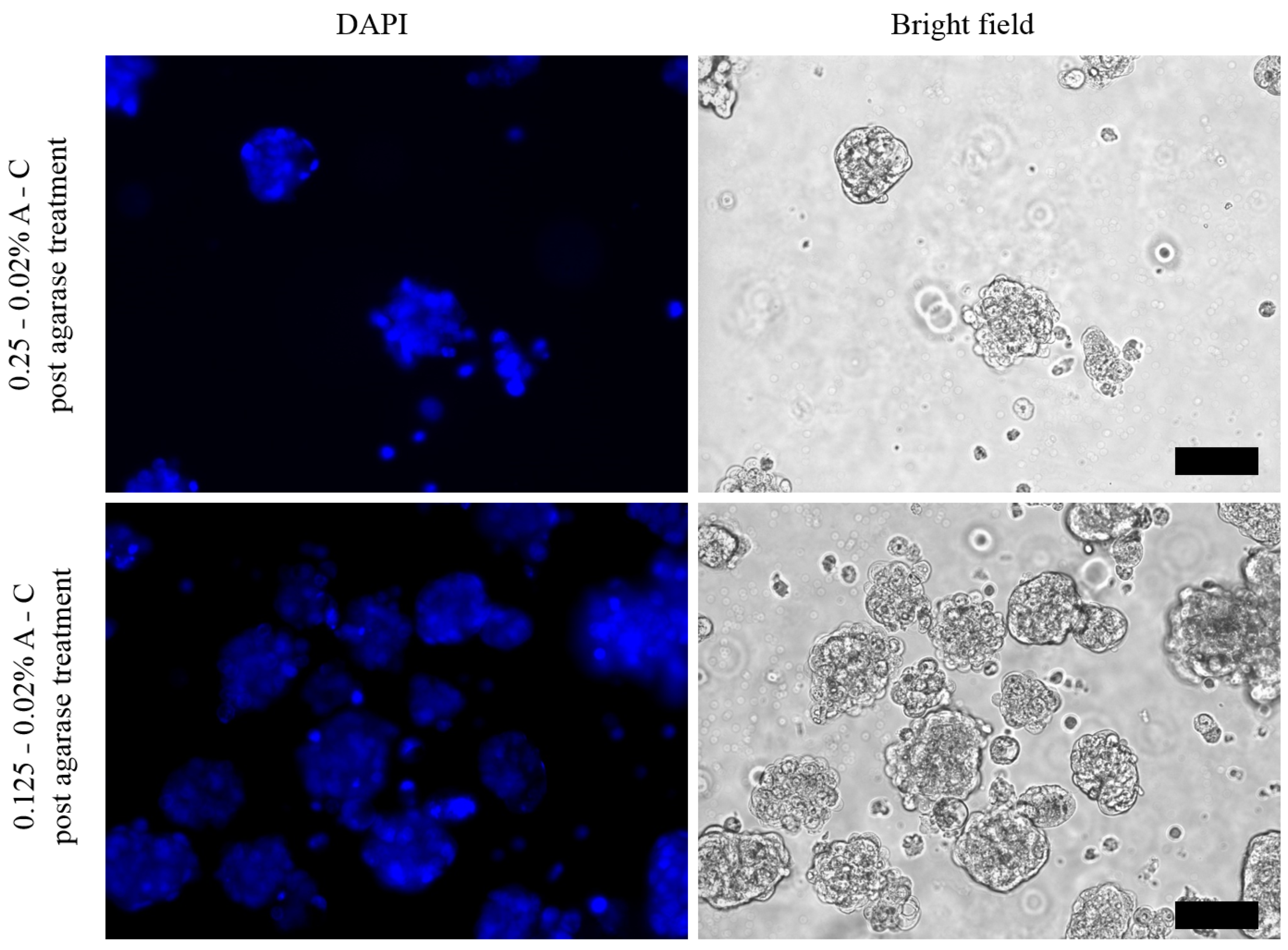 Pharmaceutics 13 00963 g009 550