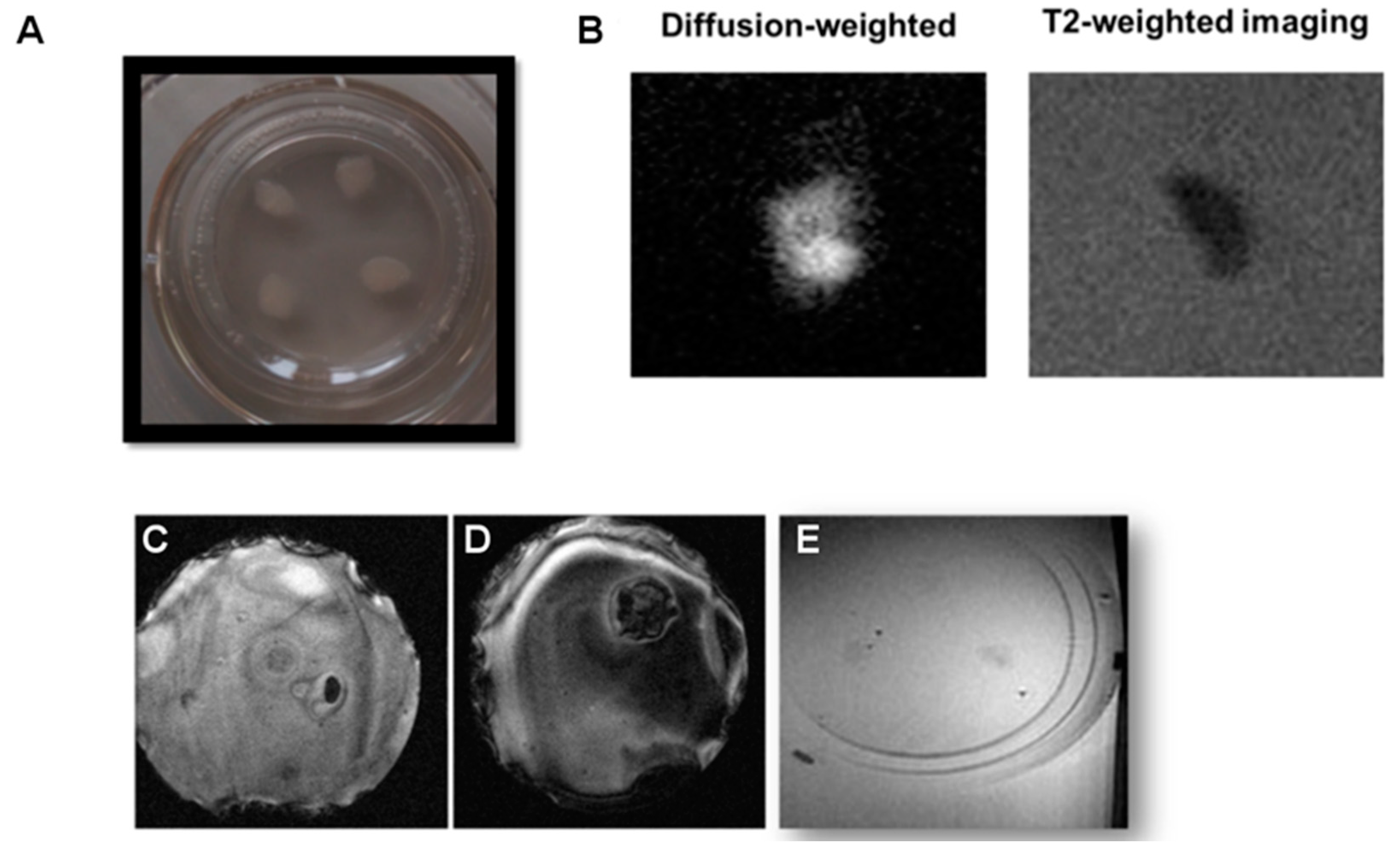 Pharmaceutics 13 00975 g004