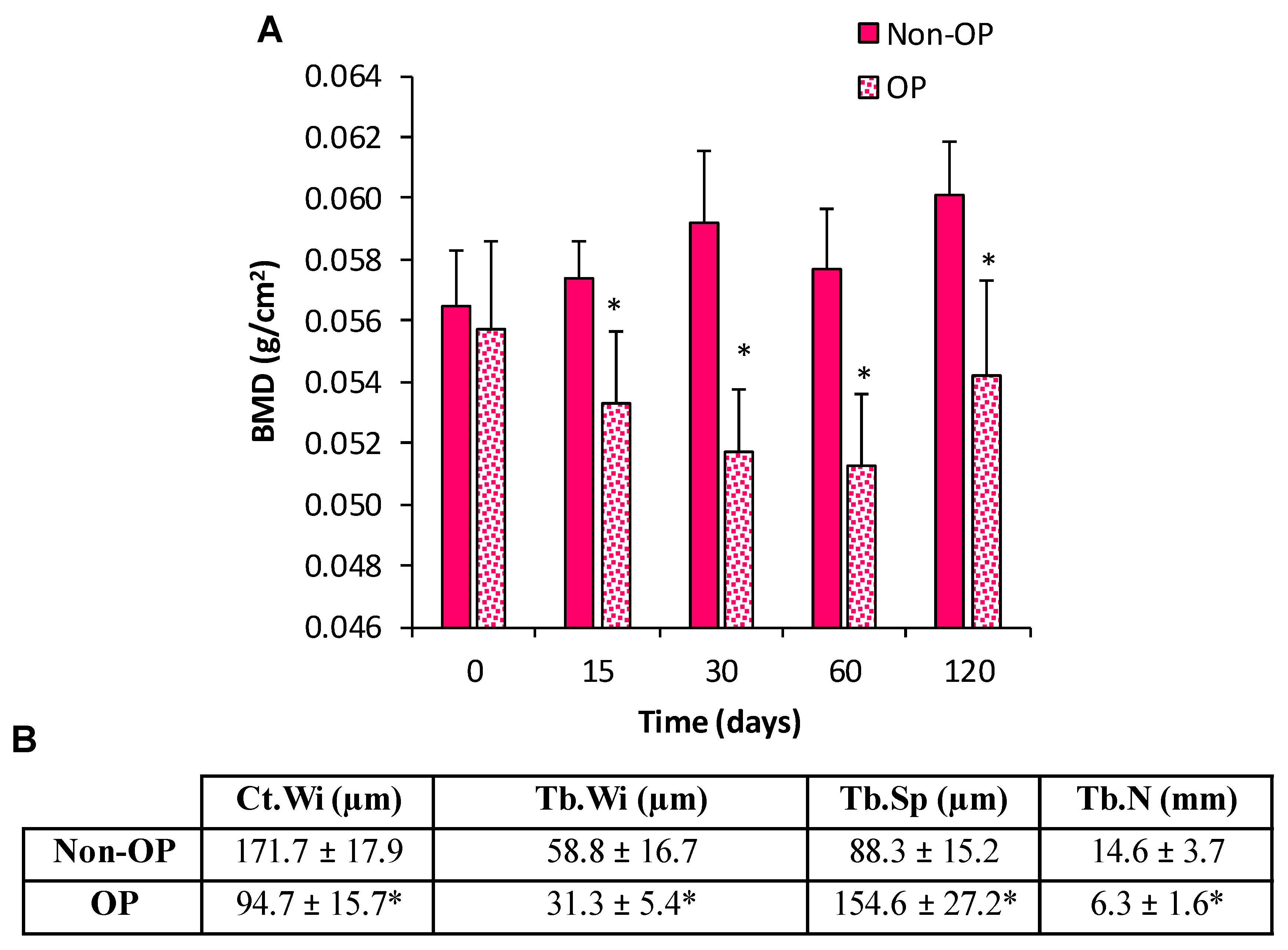 Pharmaceutics 13 00979 g004