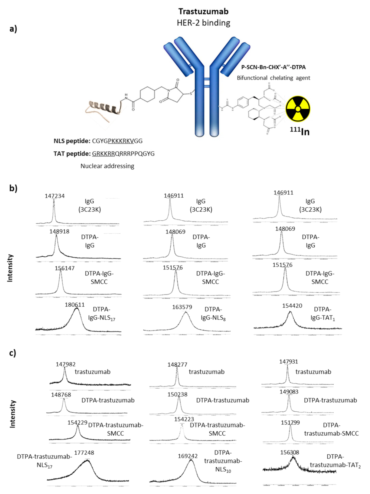 Pharmaceutics Free Full Text Targeted Radionuclide Therapy Using Auger Electron Emitters The Quest For The Right Vector And The Right Radionuclide Html