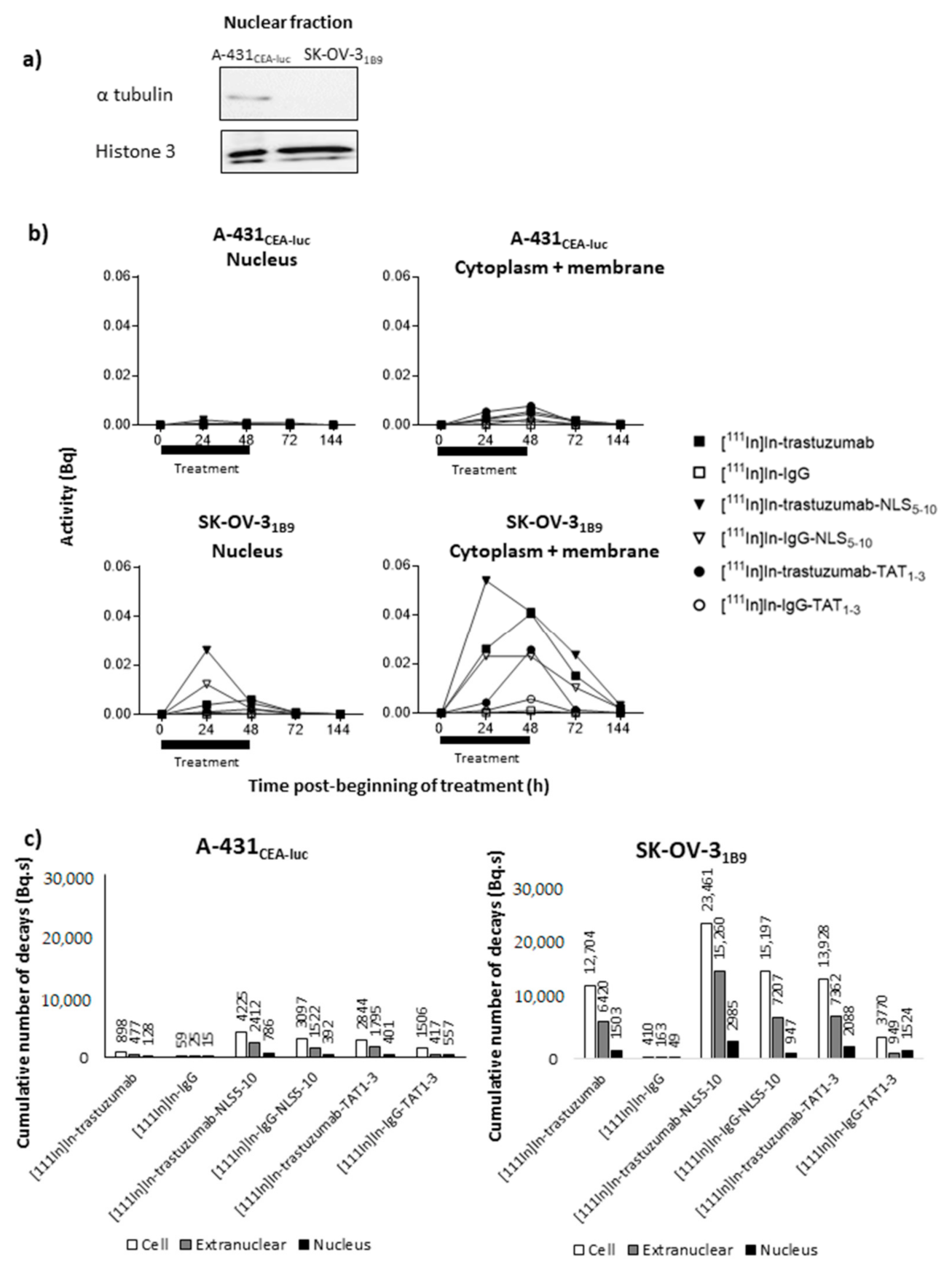 Pharmaceutics 13 00980 g004