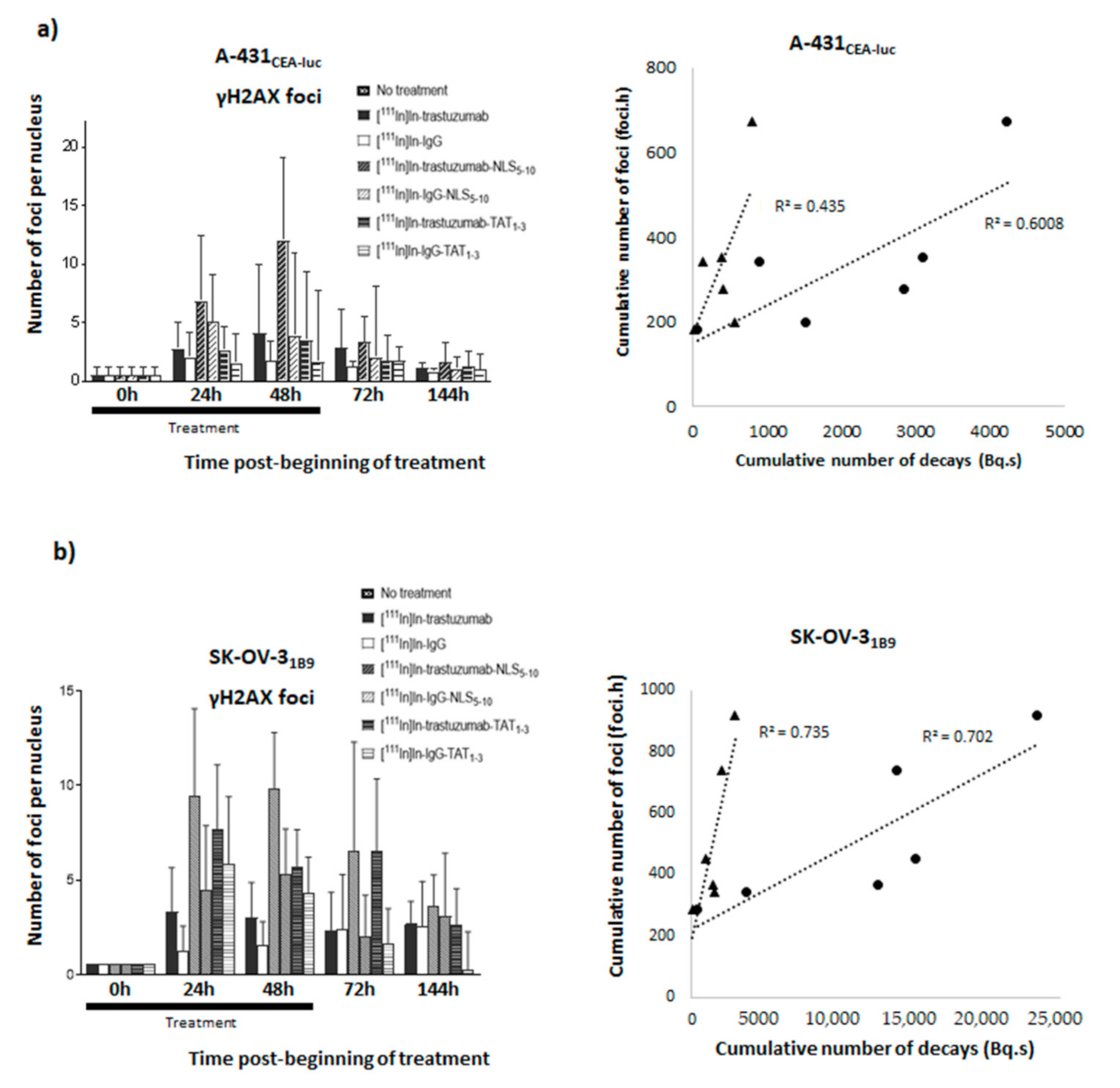 Pharmaceutics 13 00980 g007