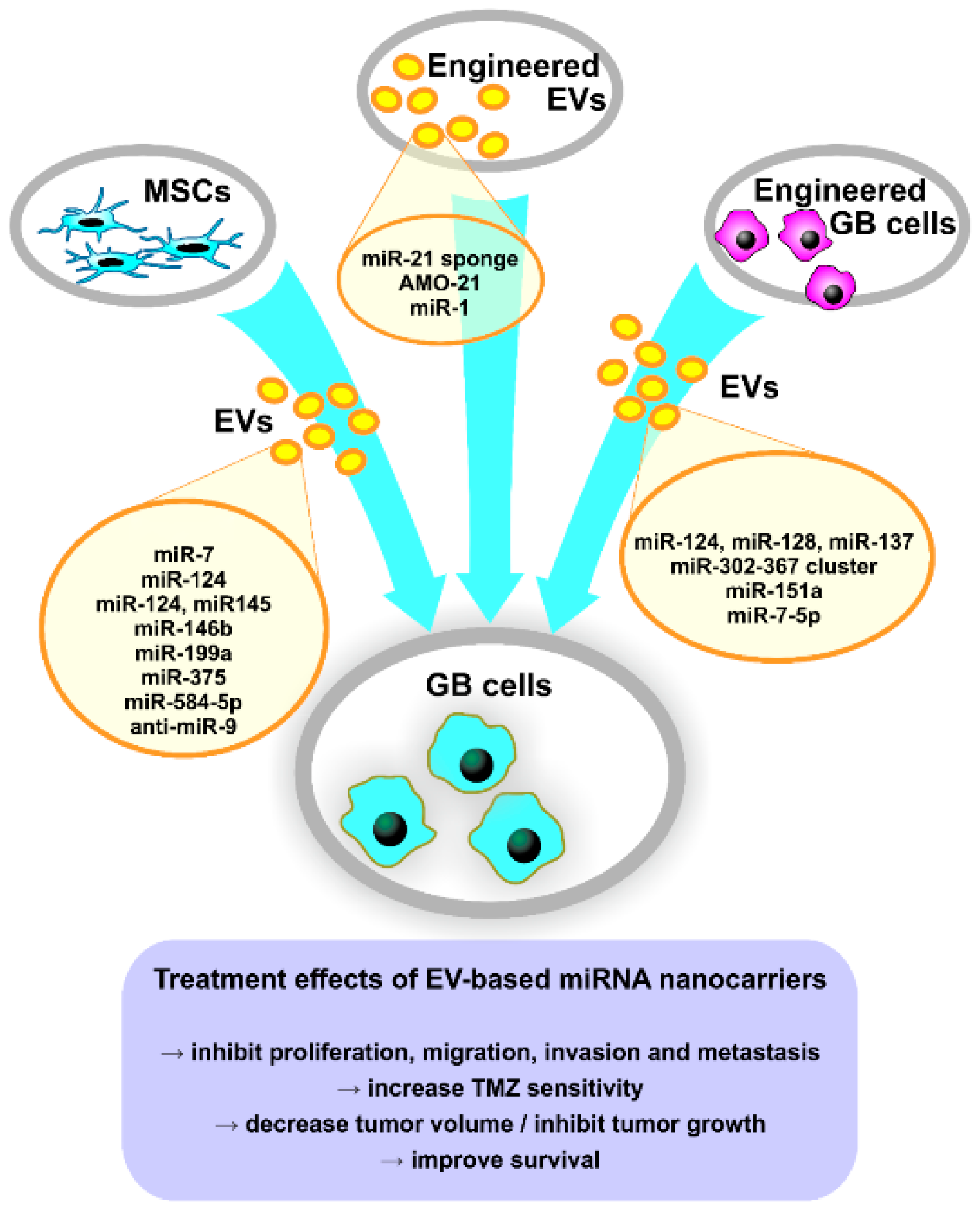 Pharmaceutics 13 00988 g002