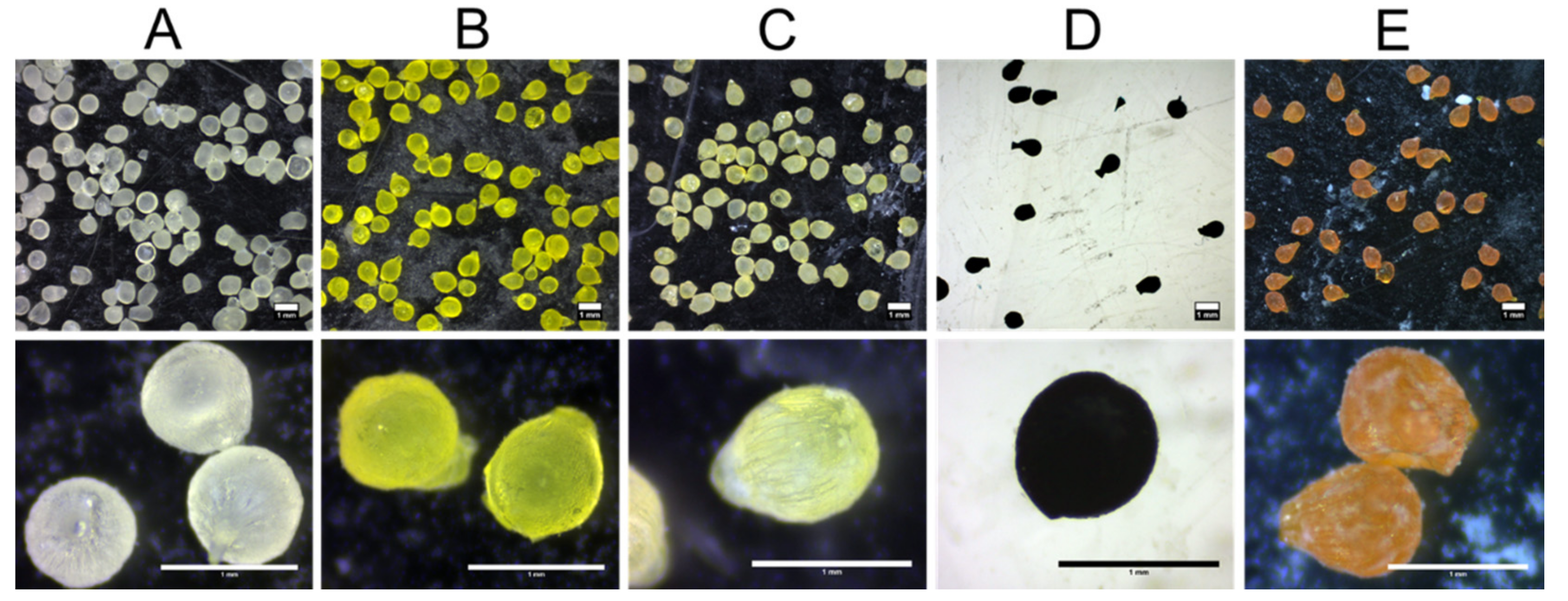 Pharmaceutics 13 01001 g002 550