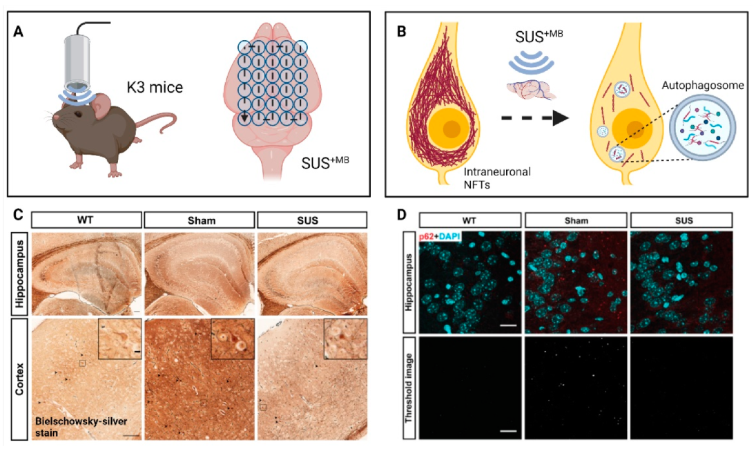 Pharmaceutics 13 01002 g003 550