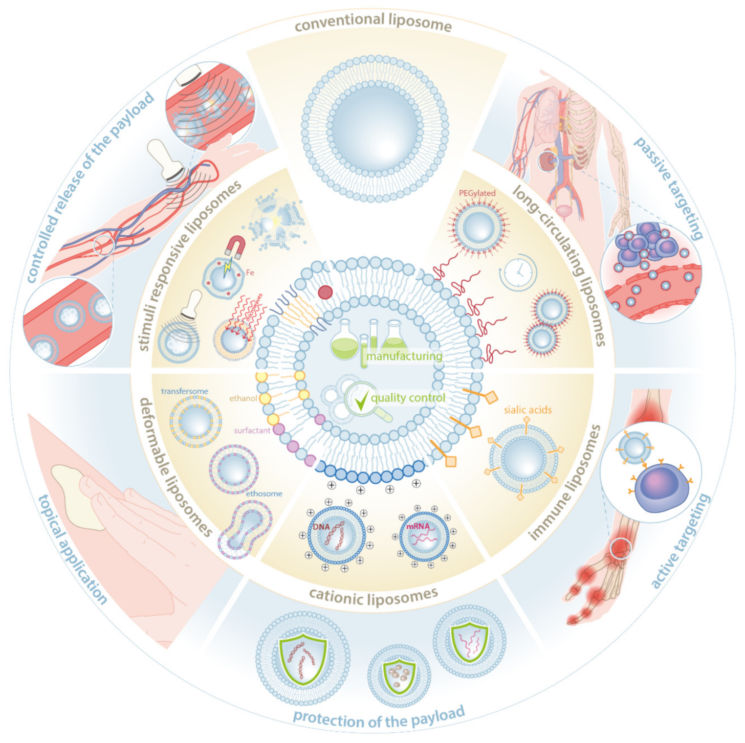 Pharmaceutics 13 01004 g001 Pharmaceutics 13 01004 g001