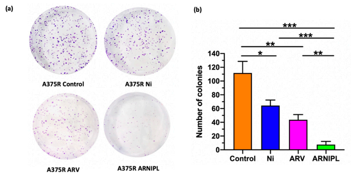 Pharmaceutics 13 01005 g005