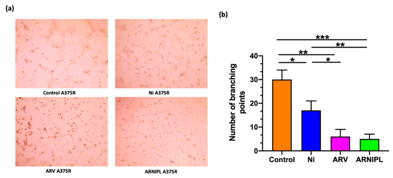 Pharmaceutics 13 01005 g006