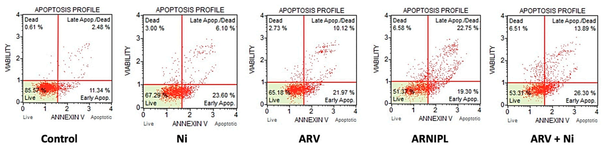 Pharmaceutics 13 01005 g008
