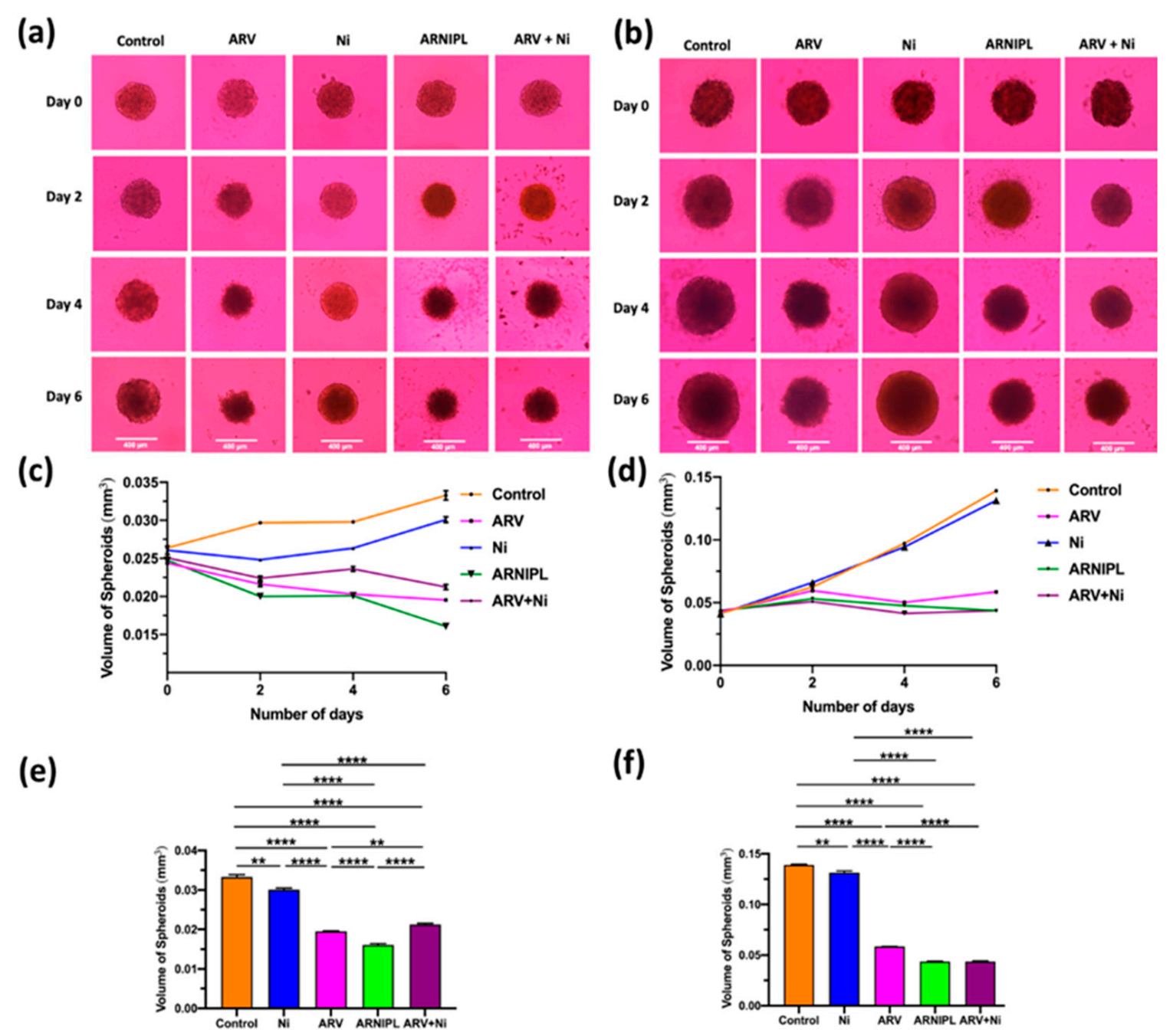 Pharmaceutics 13 01005 g009