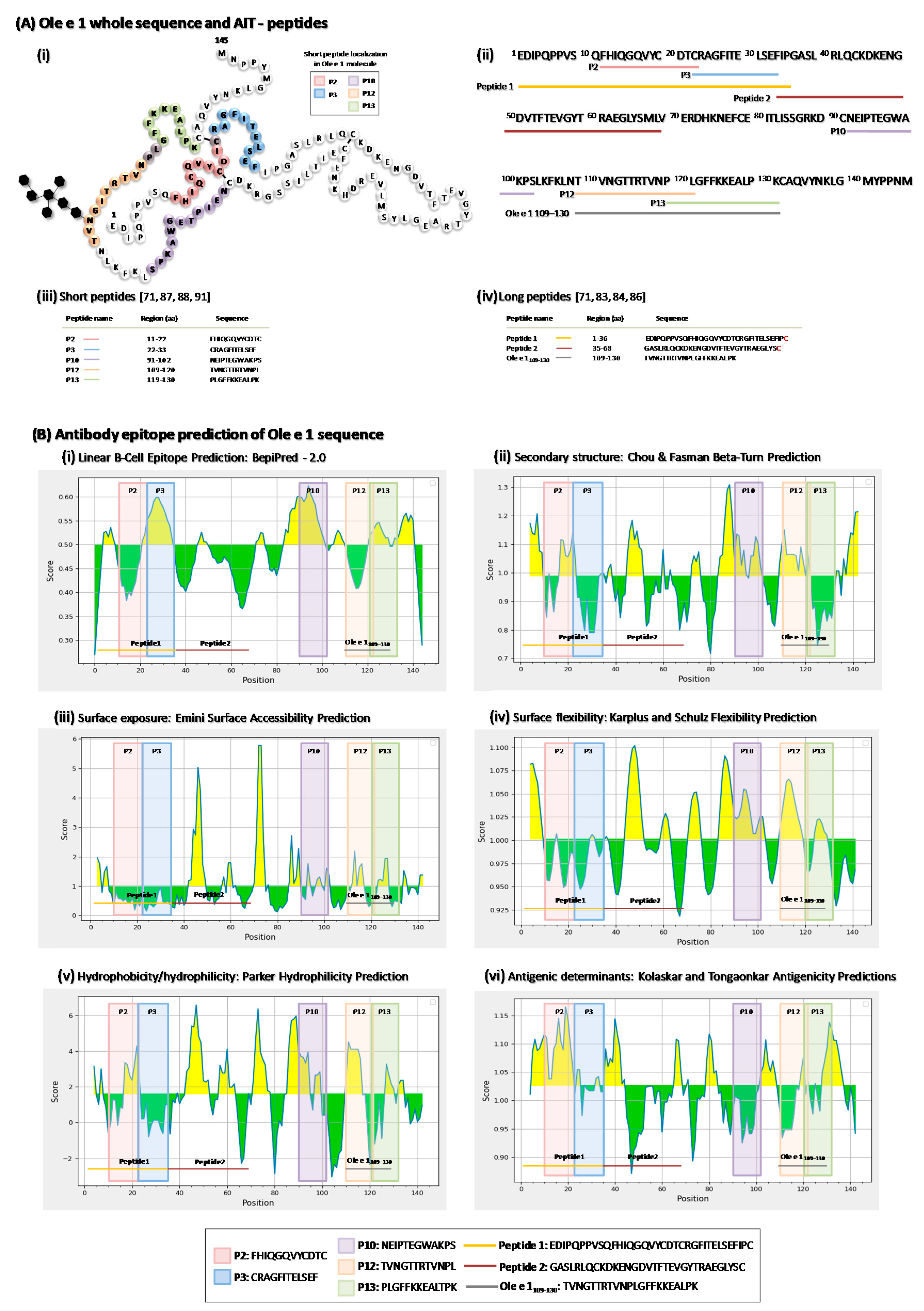 Pharmaceutics 13 01007 g001