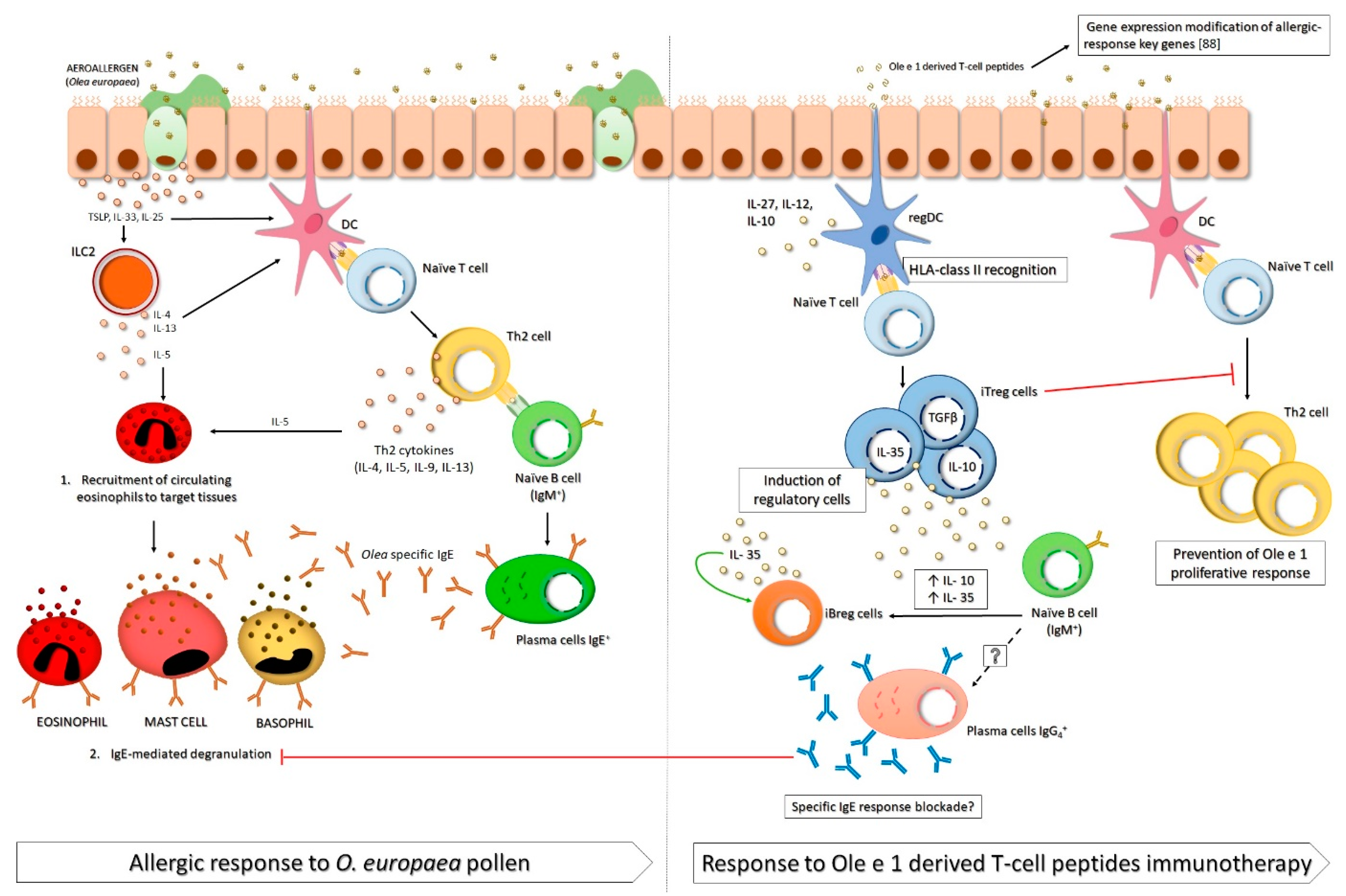 Pharmaceutics 13 01007 g002