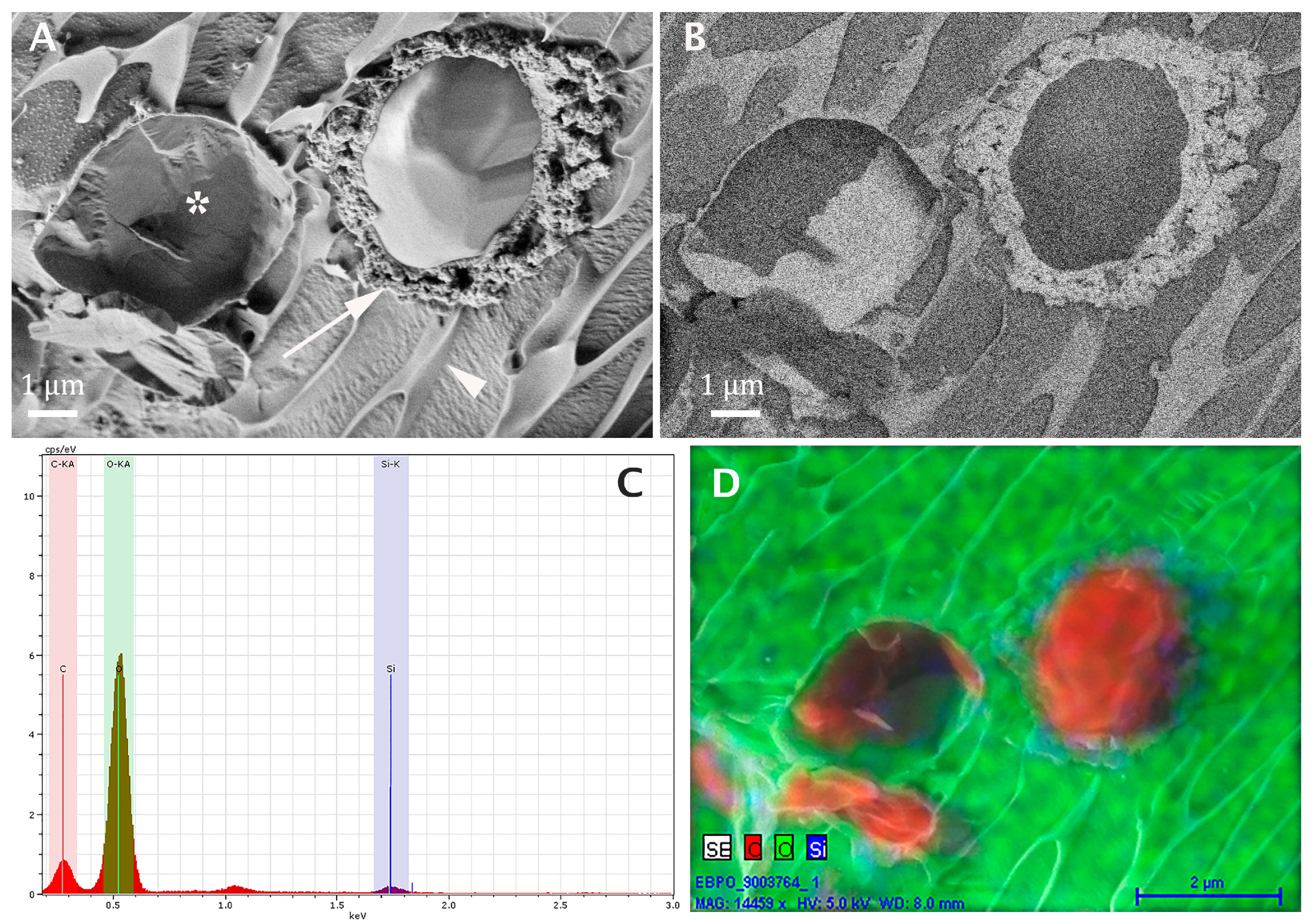 Pharmaceutics 13 01015 g003 550