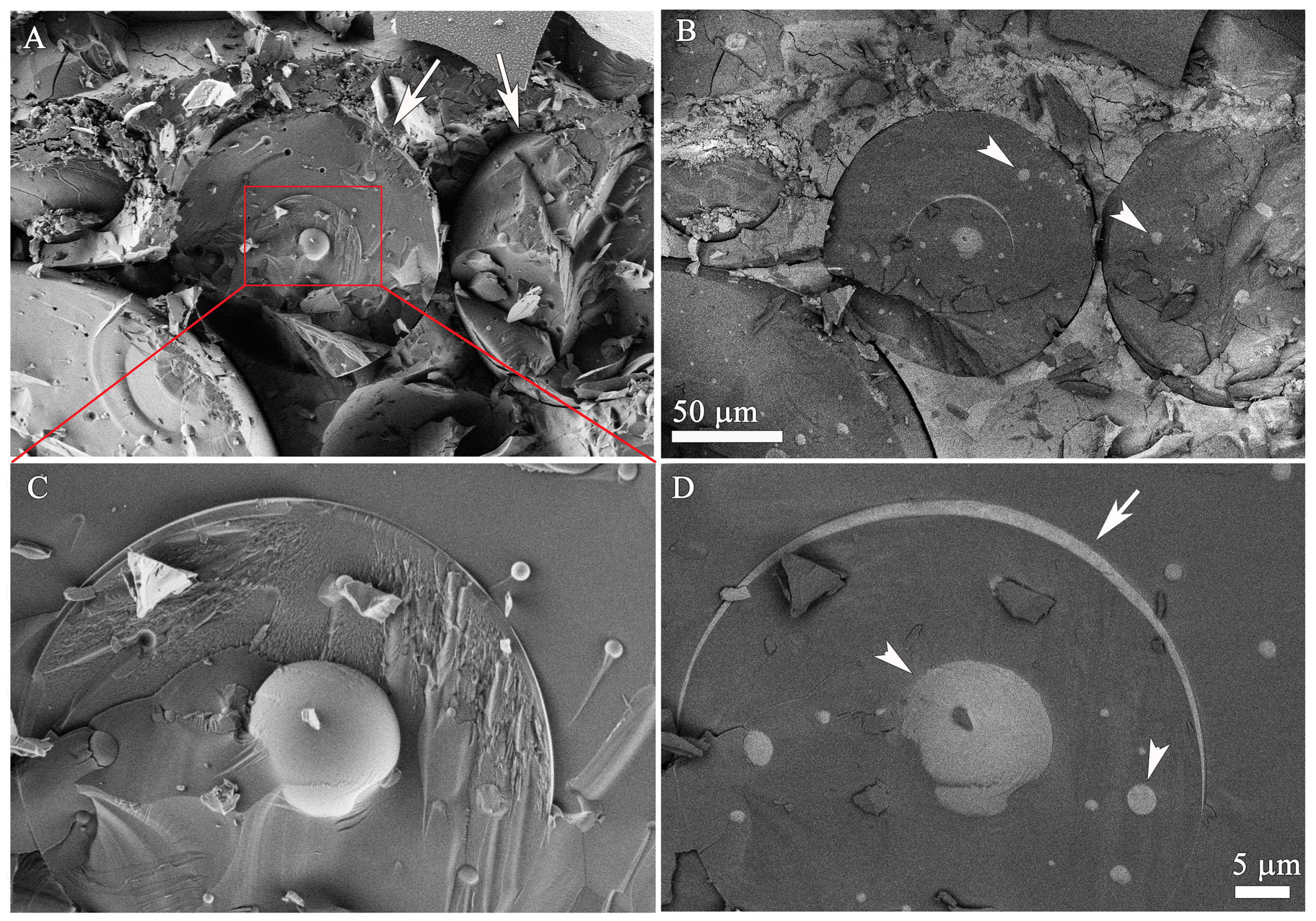 Pharmaceutics 13 01015 g004 550