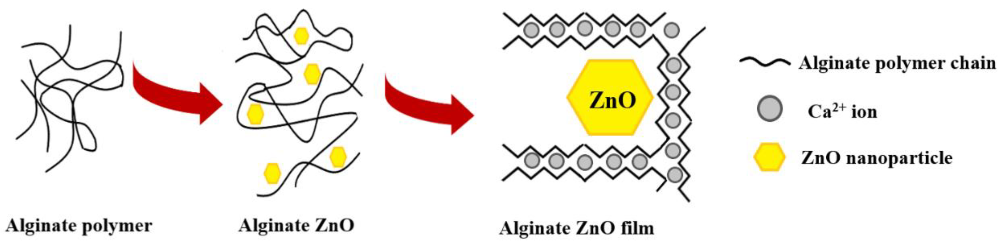 Pharmaceutics 13 01020 g002