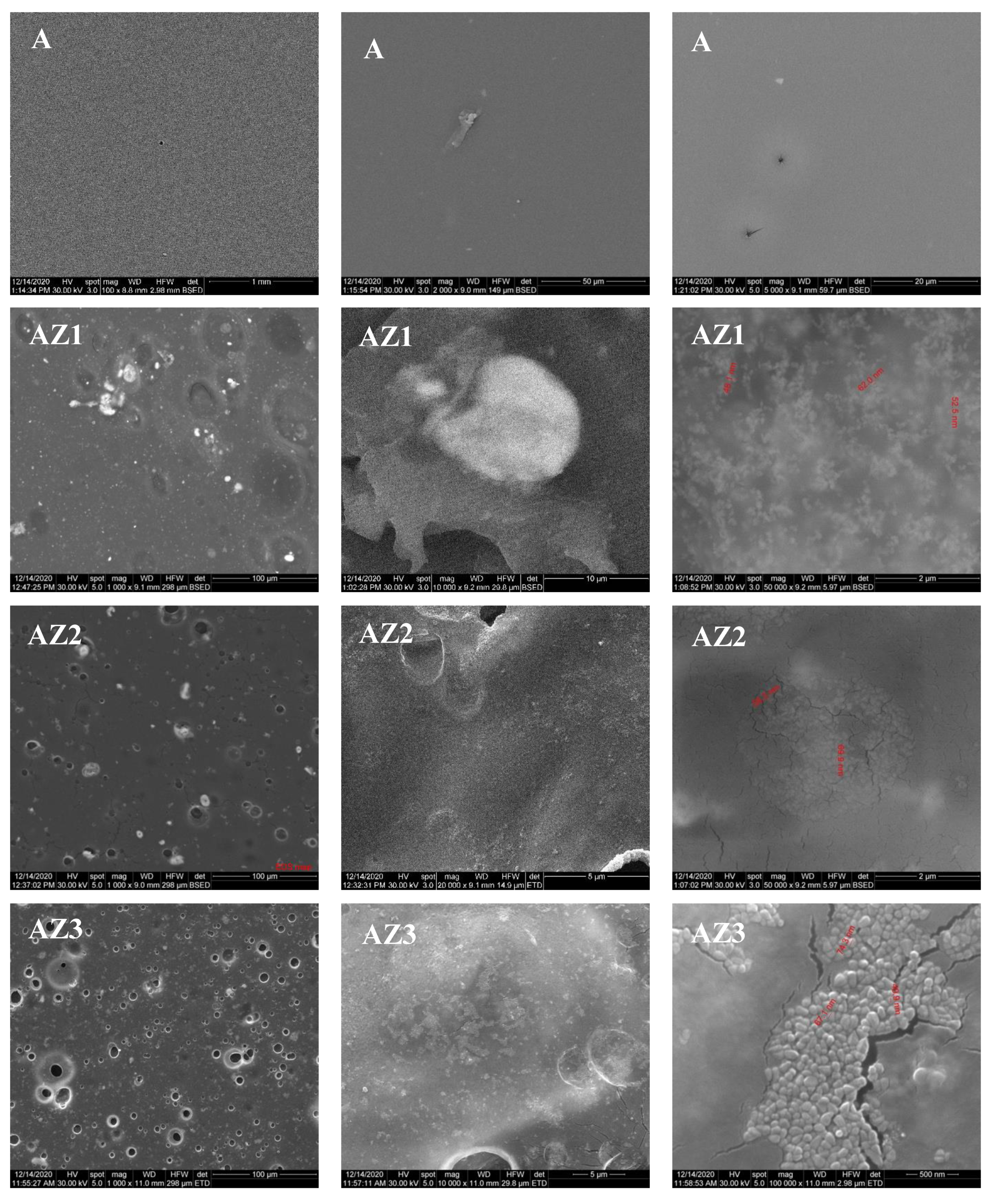 Pharmaceutics 13 01020 g009a