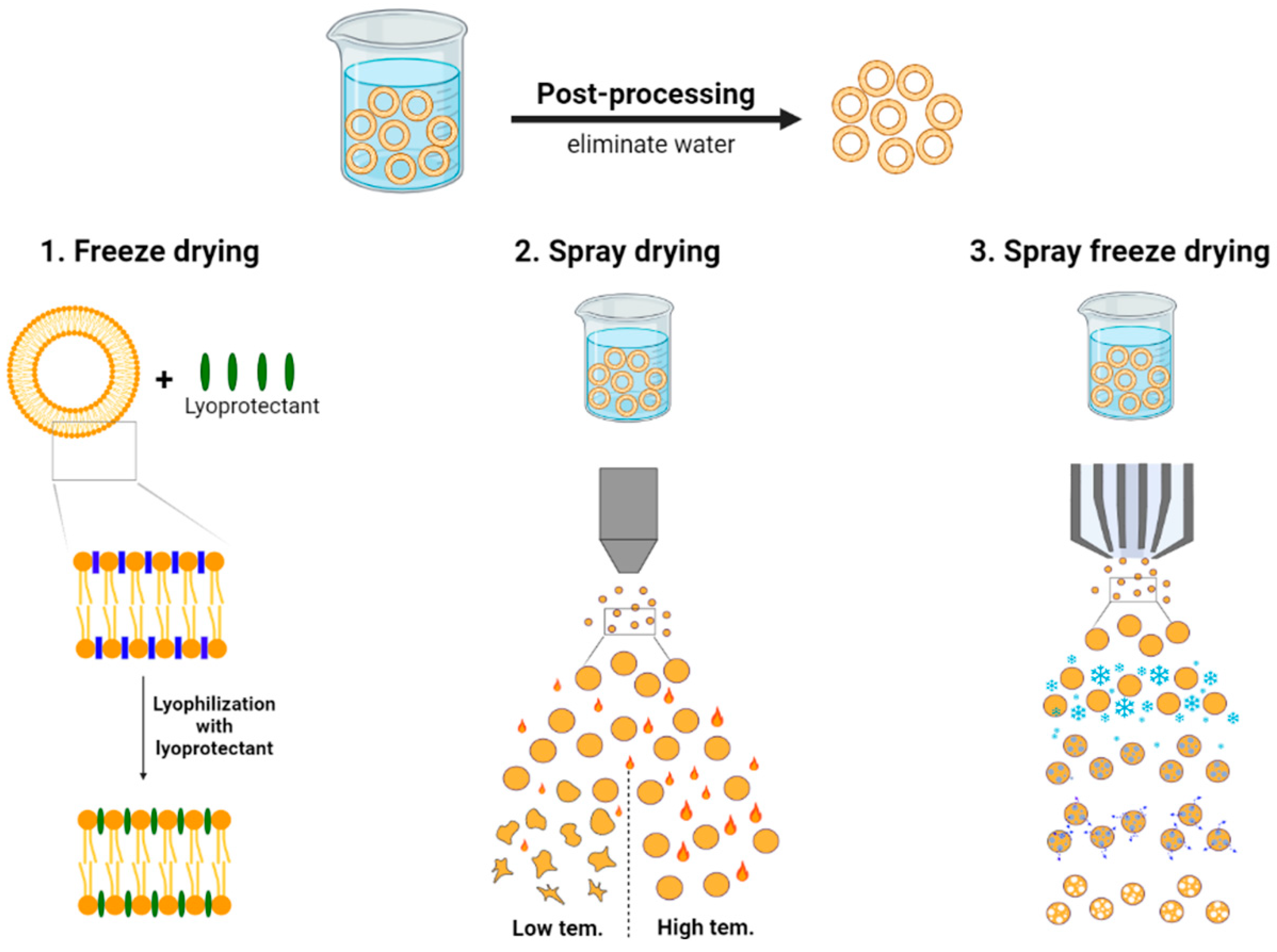 Post processing. Spray Freeze Drying. Лиофилизация микроорганизмов. Post processing в играх.