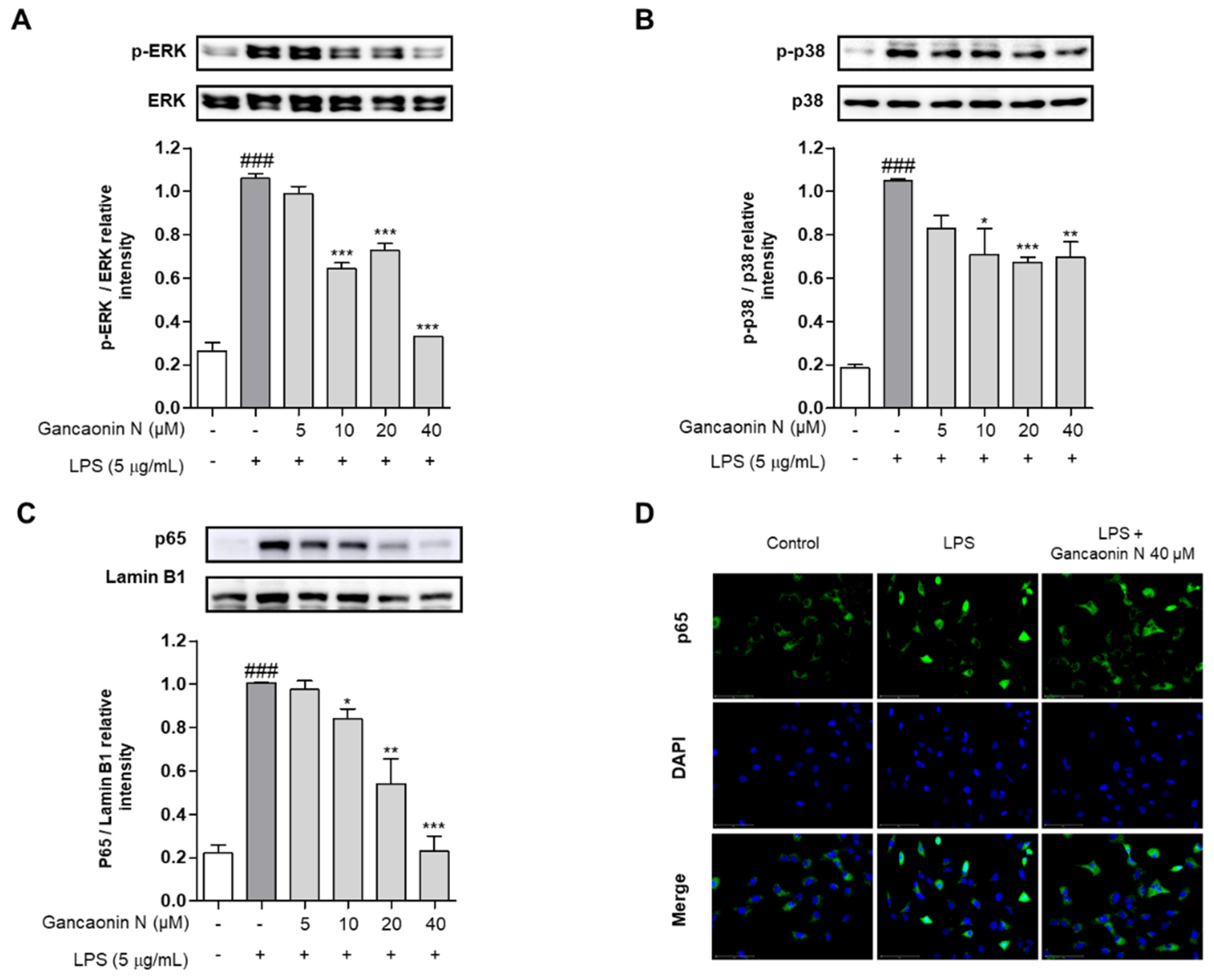 Pharmaceutics 13 01028 g005 550