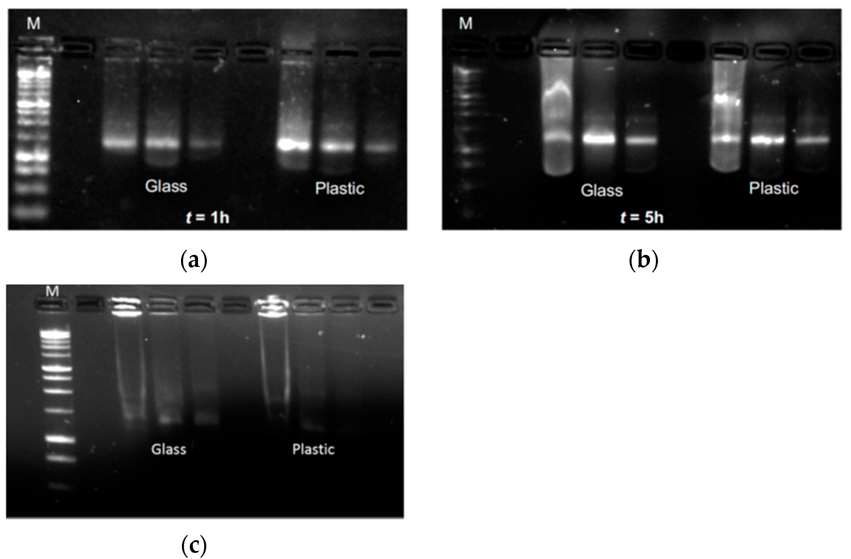 Pharmaceutics 13 01029 g004 550