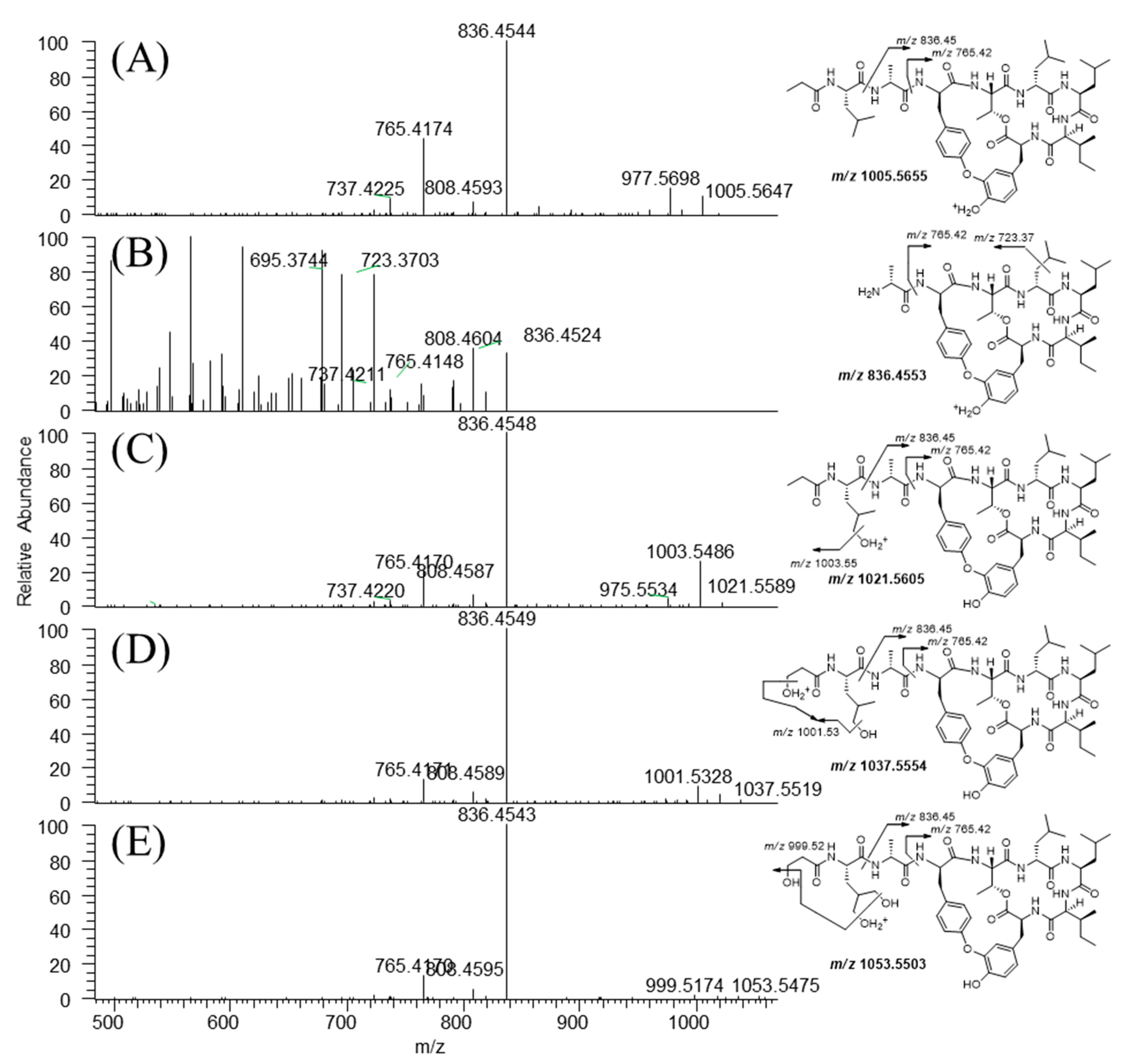 Pharmaceutics 13 01031 g005 Pharmaceutics 13 01031 g005