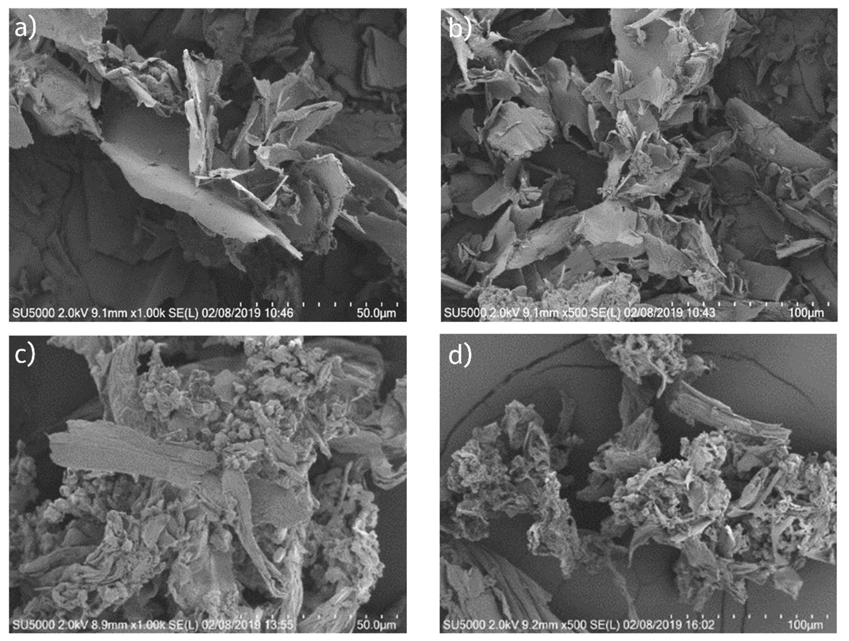Pharmaceutics 13 01034 g005