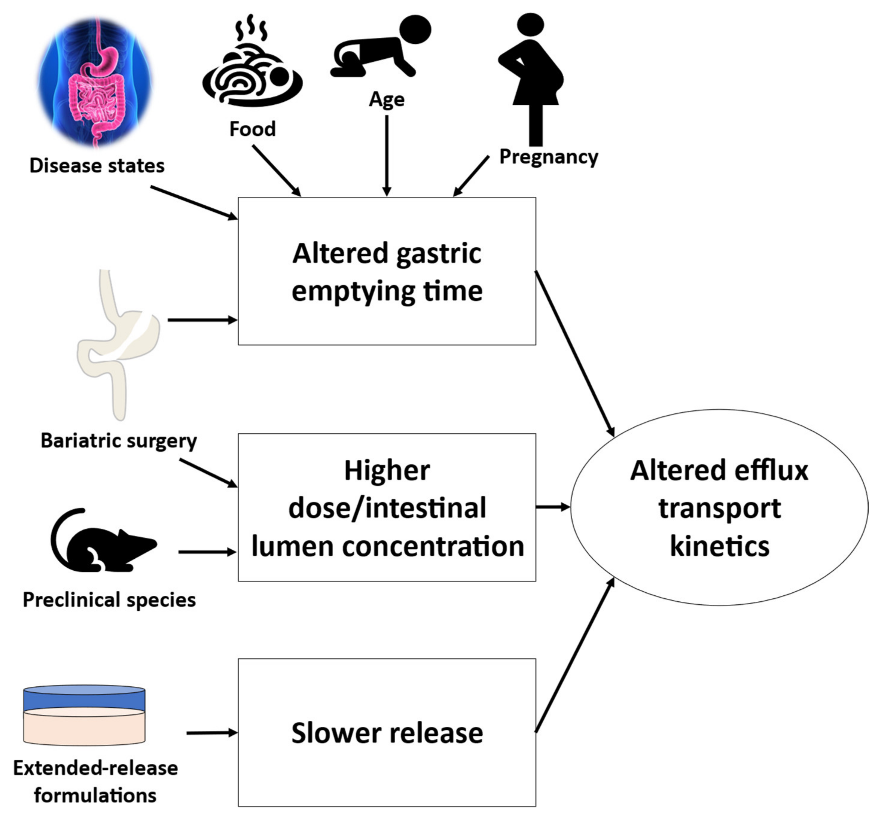 Pharmaceutics 13 01035 g006 550
