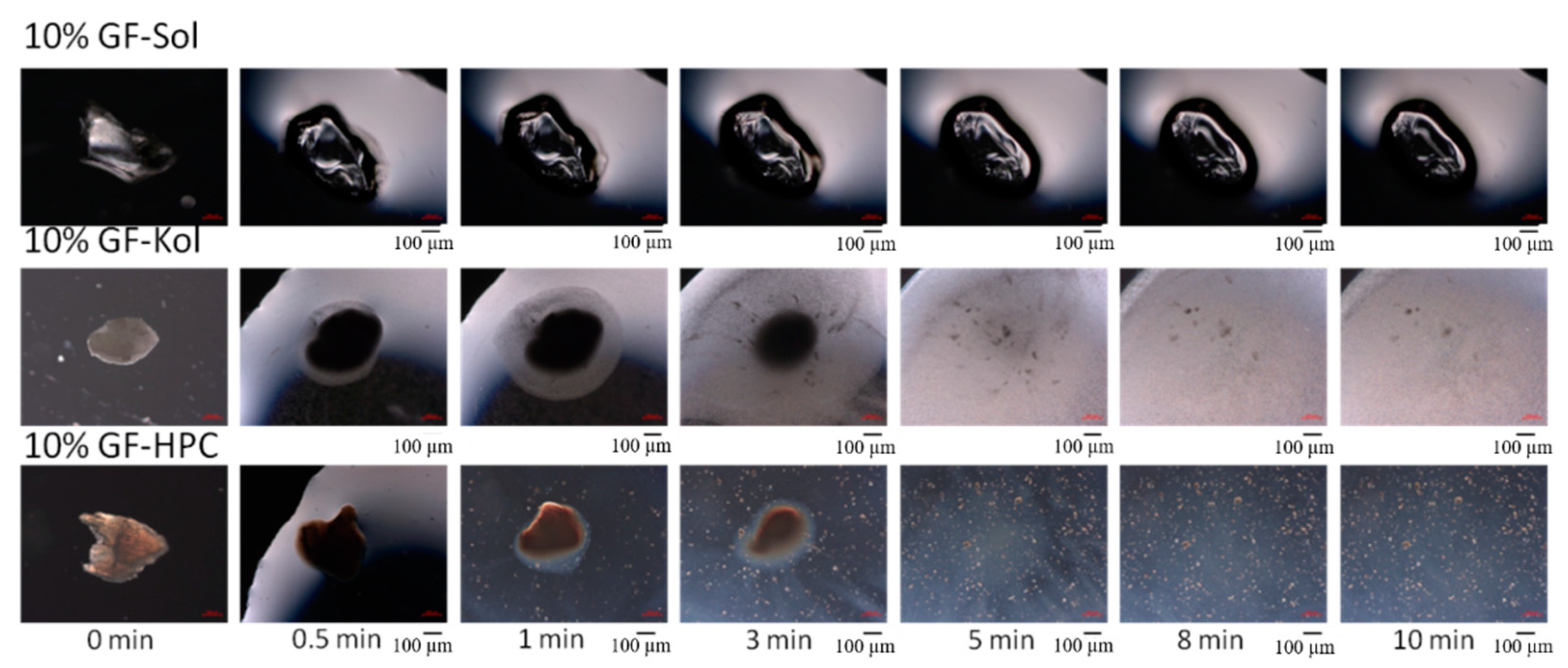 Pharmaceutics 13 01036 g006