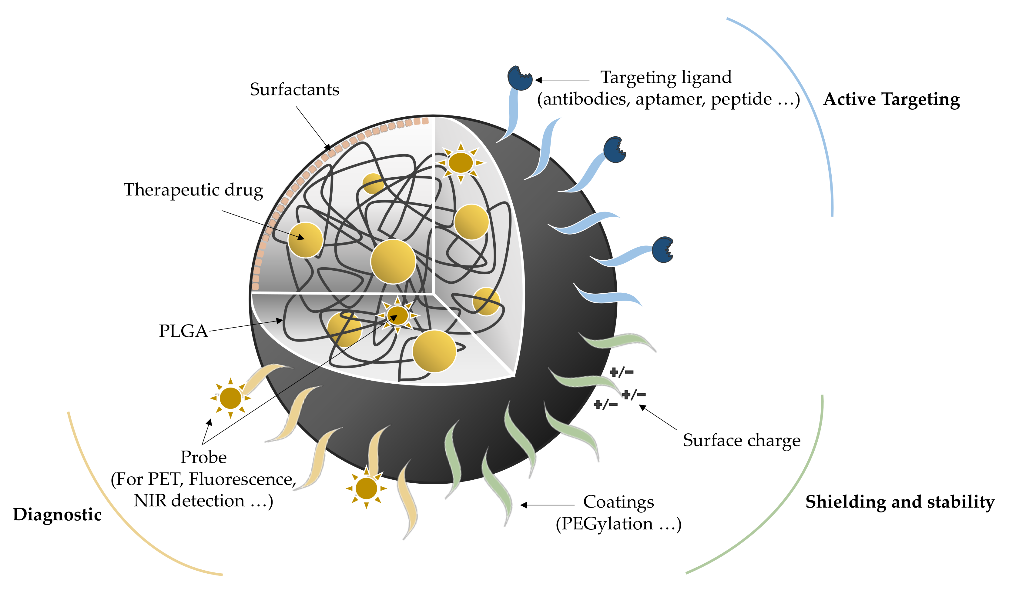 Pharmaceutics 13 01042 g001