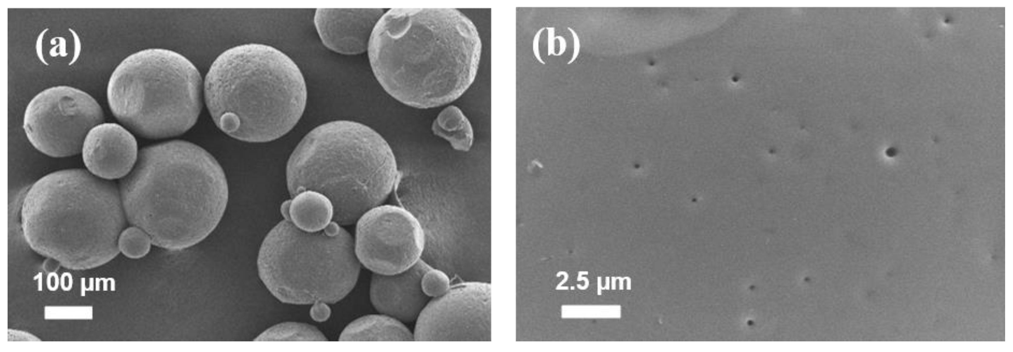 Pharmaceutics 13 01046 g005
