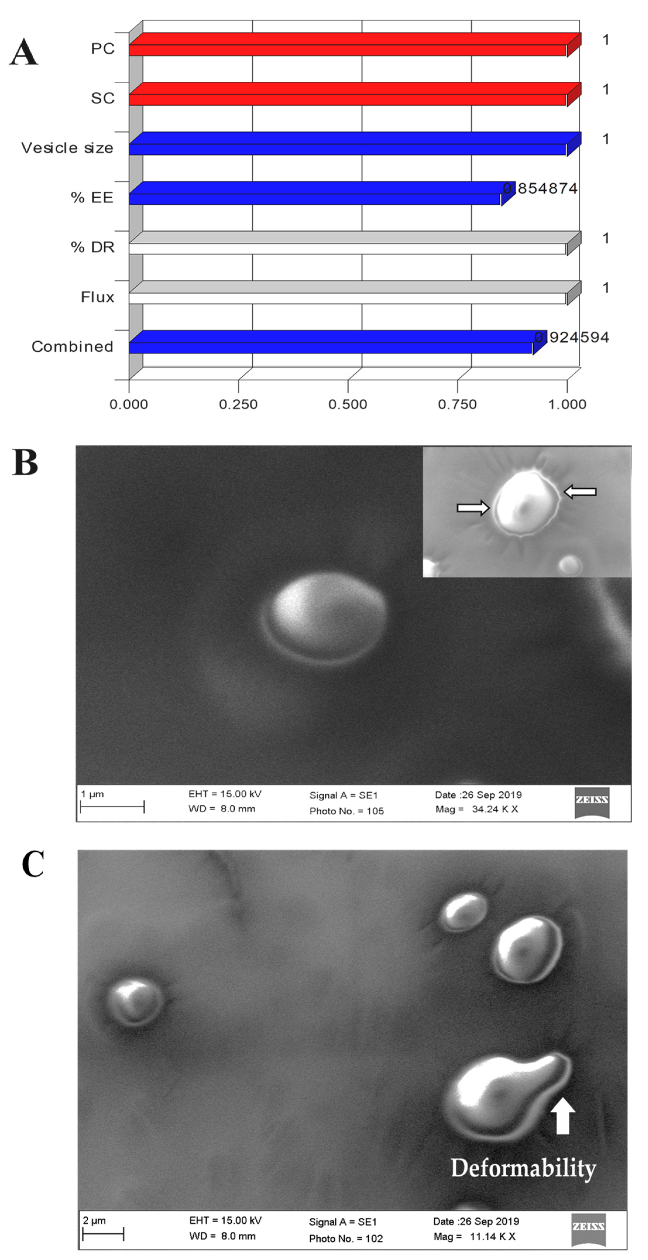 Pharmaceutics 13 01047 g004 Pharmaceutics 13 01047 g004