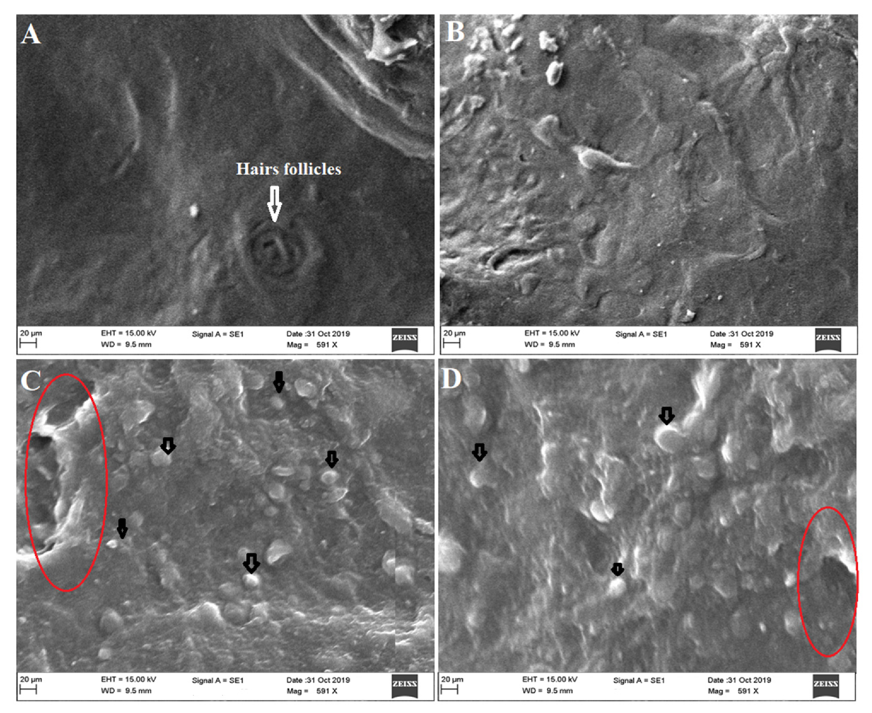 Pharmaceutics 13 01047 g008 Pharmaceutics 13 01047 g008