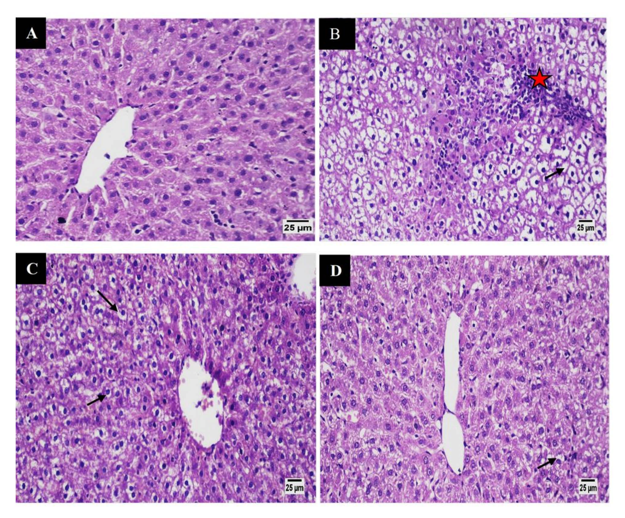 Pharmaceutics 13 01048 g014