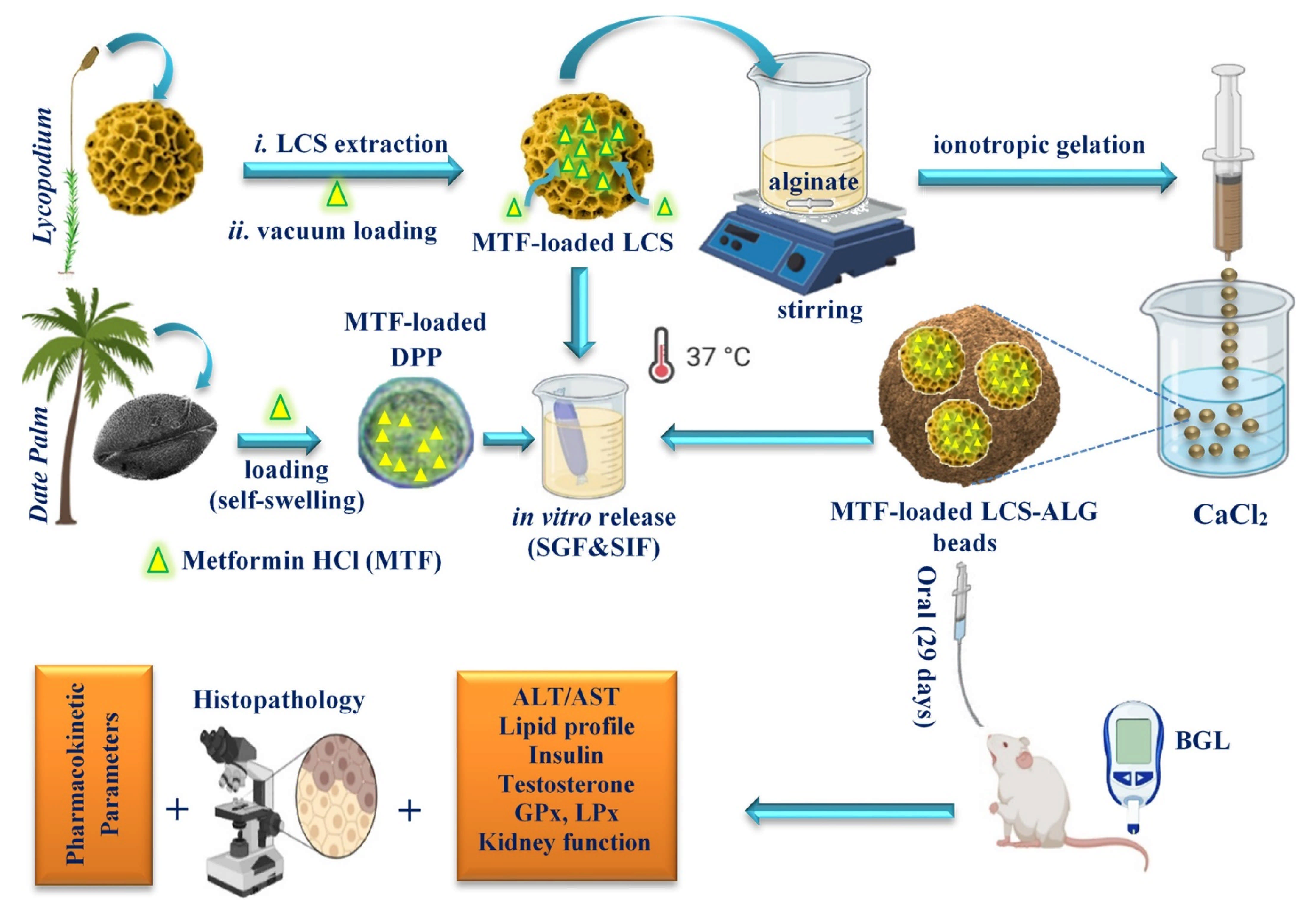 Pharmaceutics 13 01048 sch001