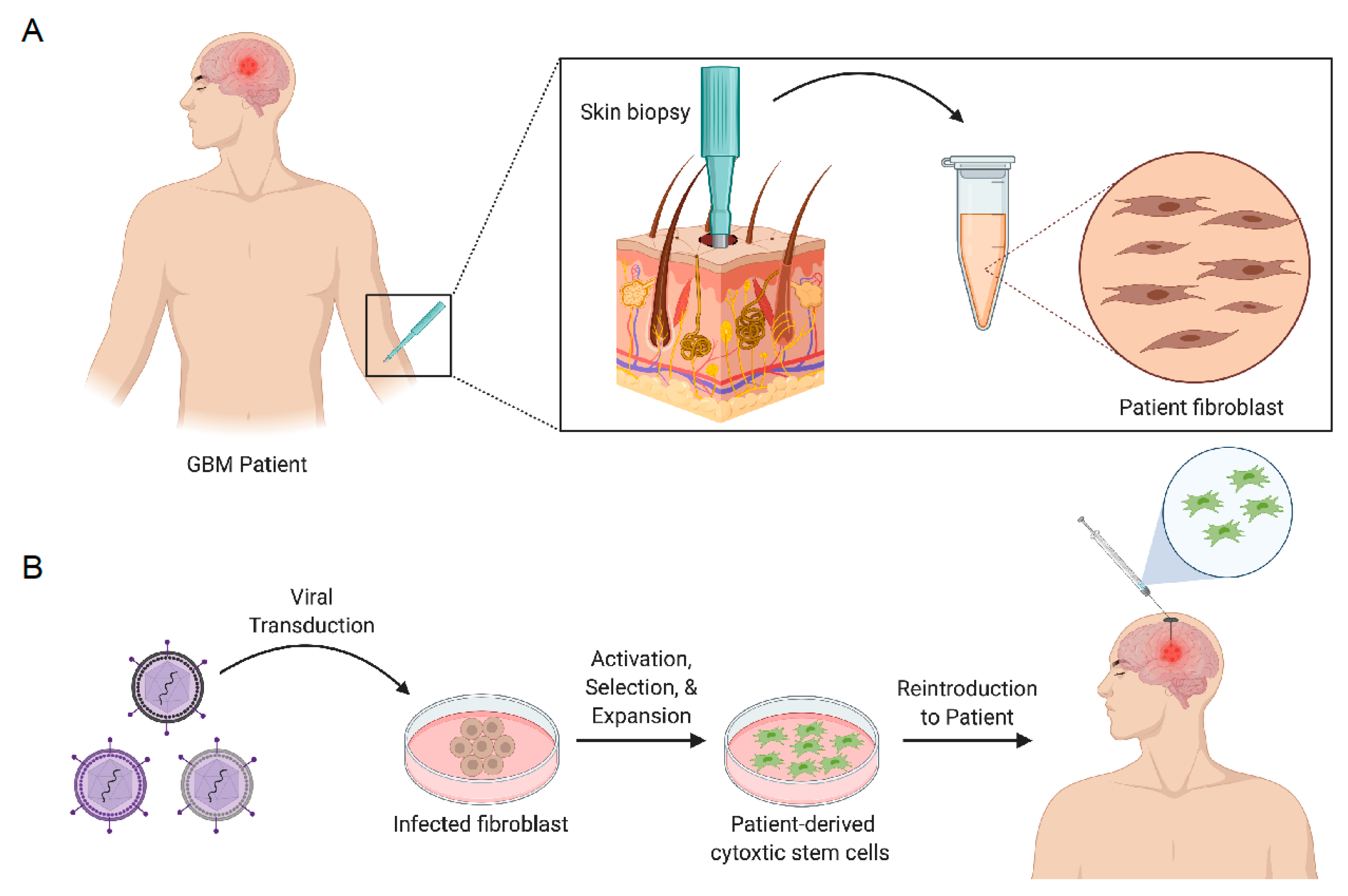 Pharmaceutics 13 01053 g002