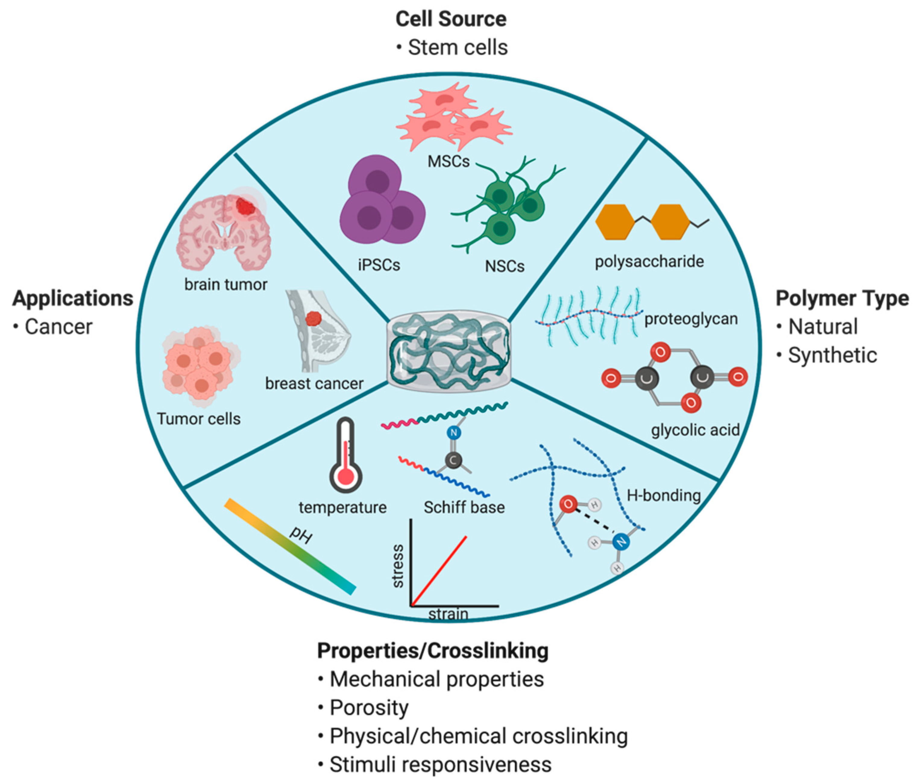 Pharmaceutics 13 01053 g003