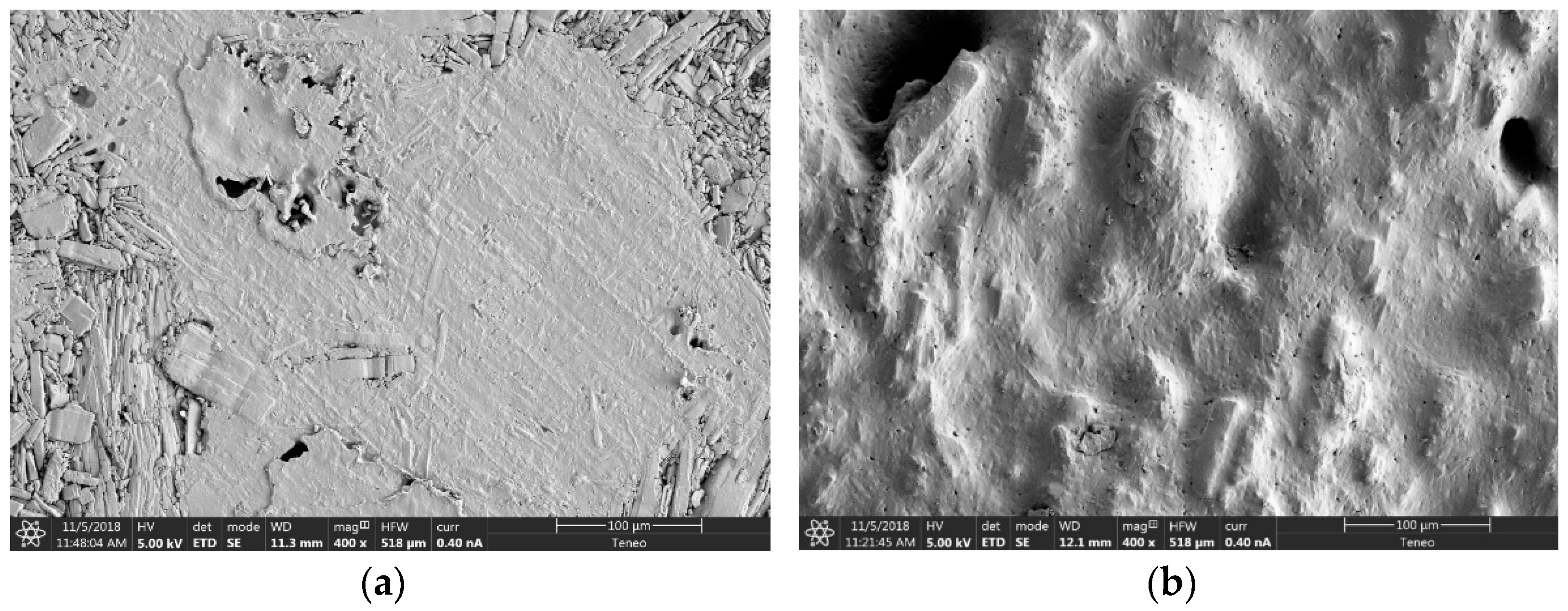 Pharmaceutics 13 01057 g007 550