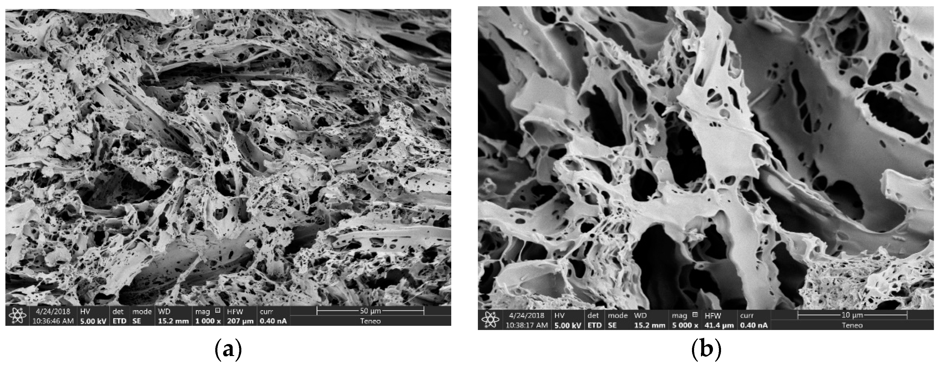 Pharmaceutics 13 01057 g009 550