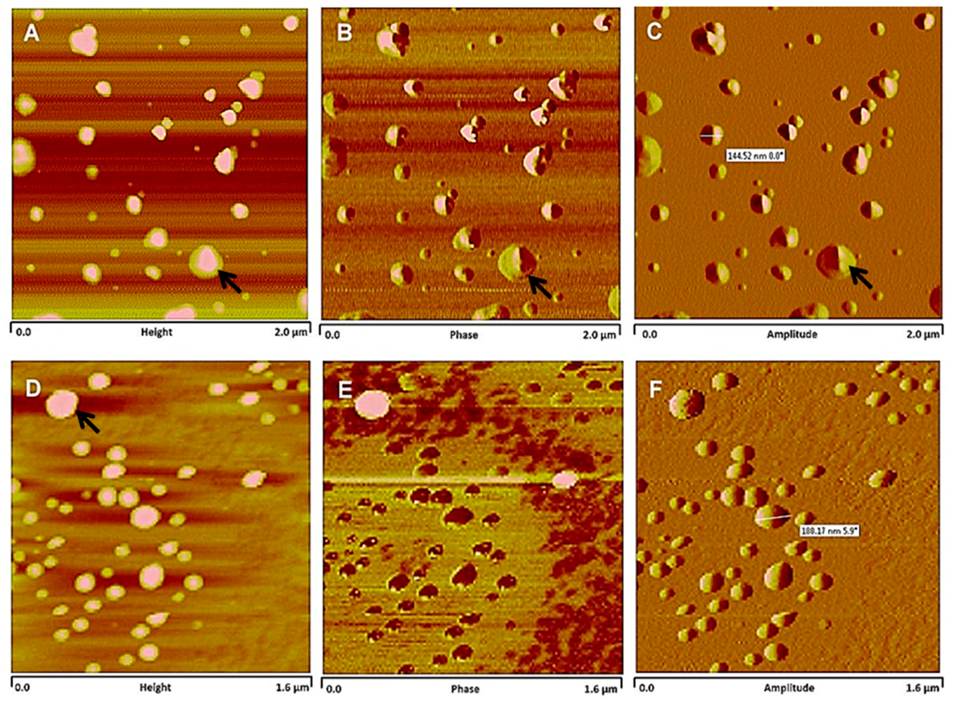 Pharmaceutics 13 01061 g002
